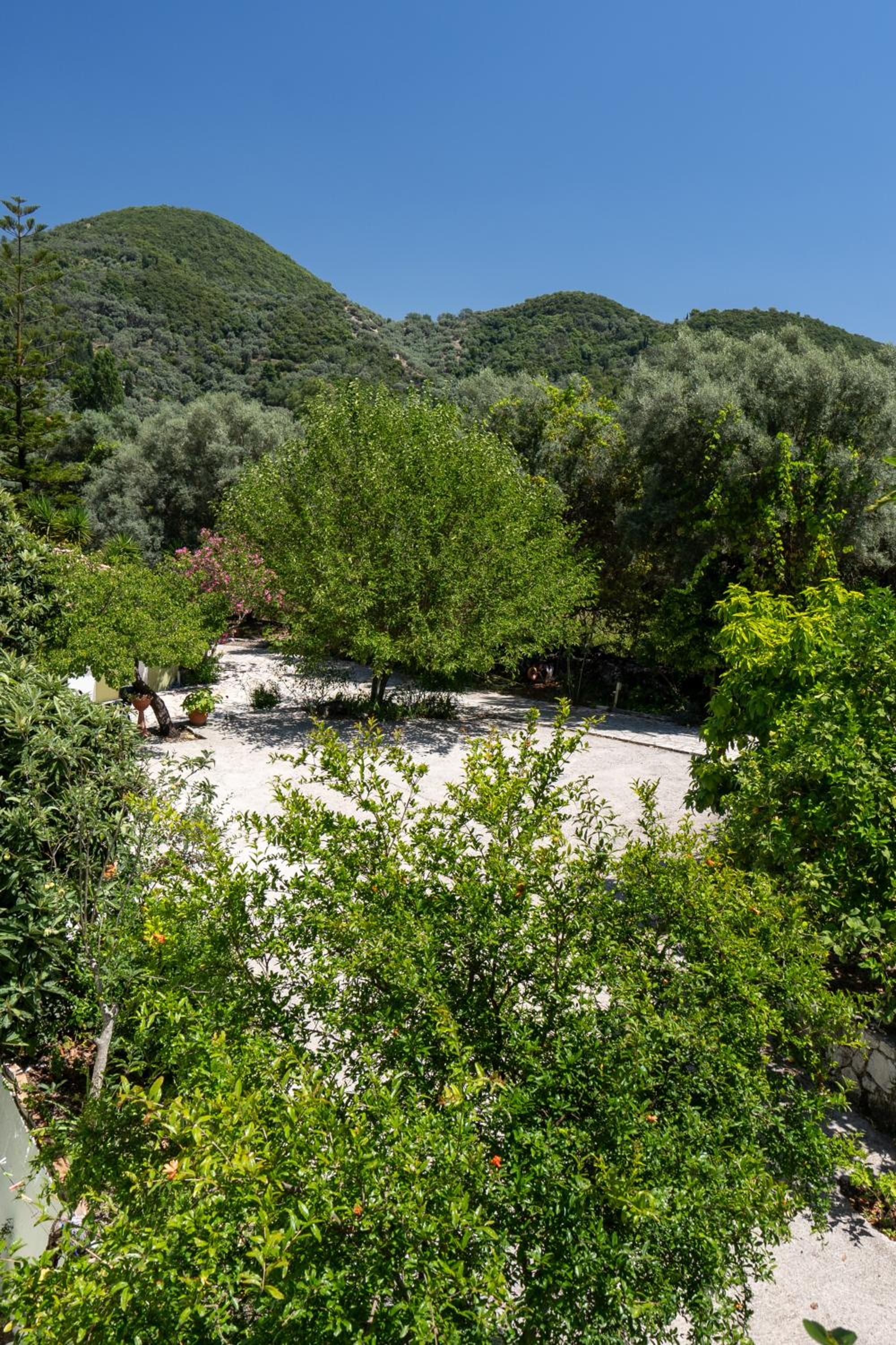 Vliho Bay Suites & Apartments