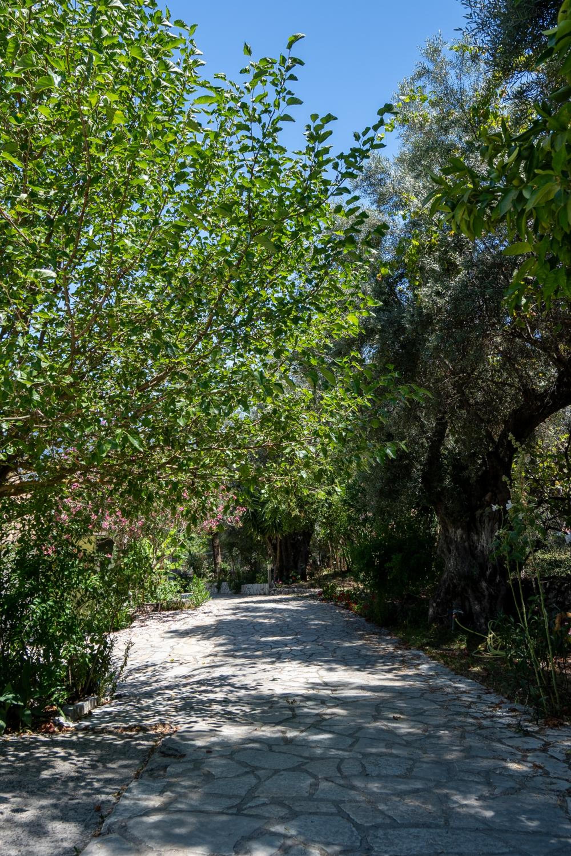 Vliho Bay Suites & Apartments