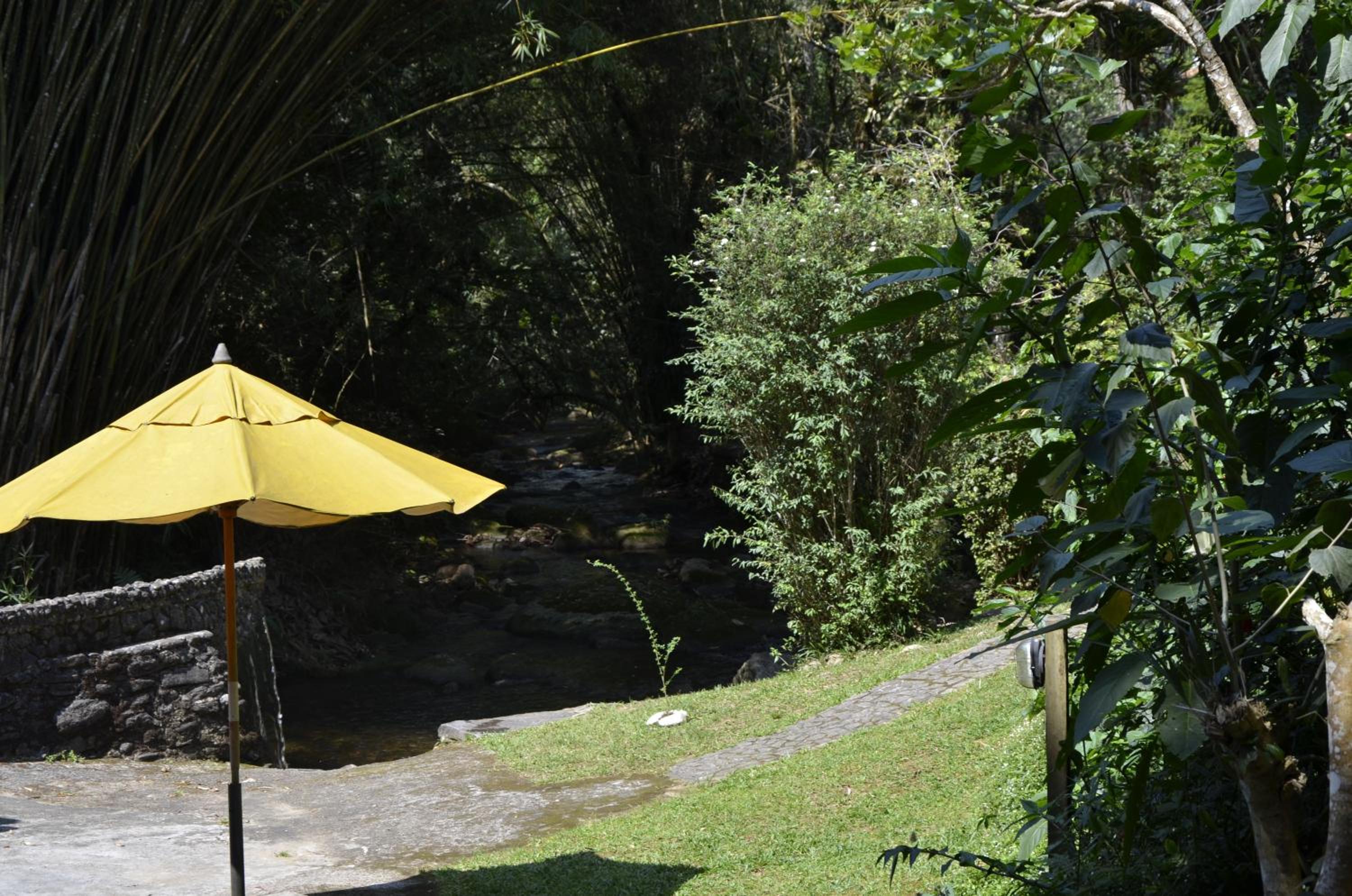 outdoor BBQ area