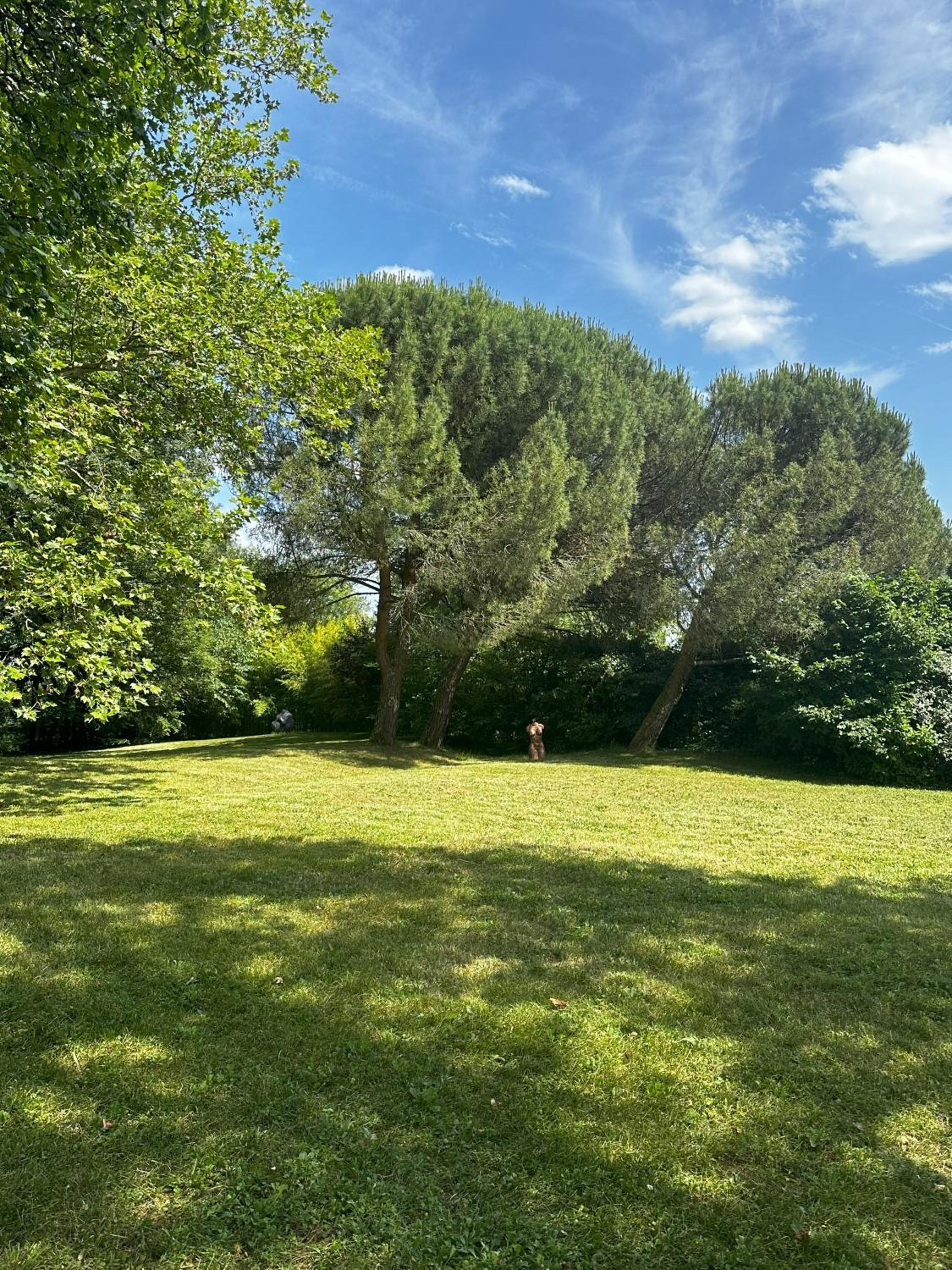 Les Hauts de Sauliès