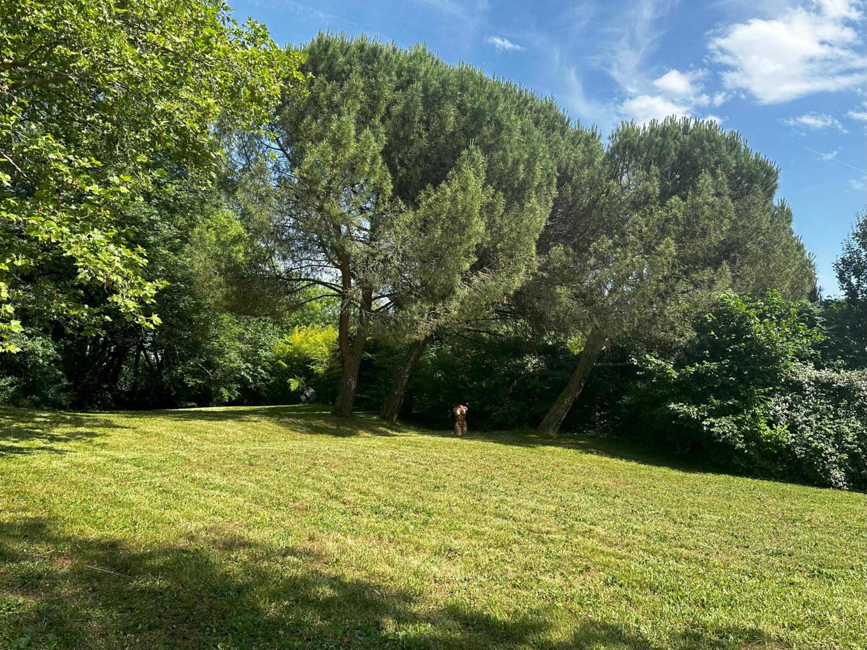 Les Hauts de Sauliès