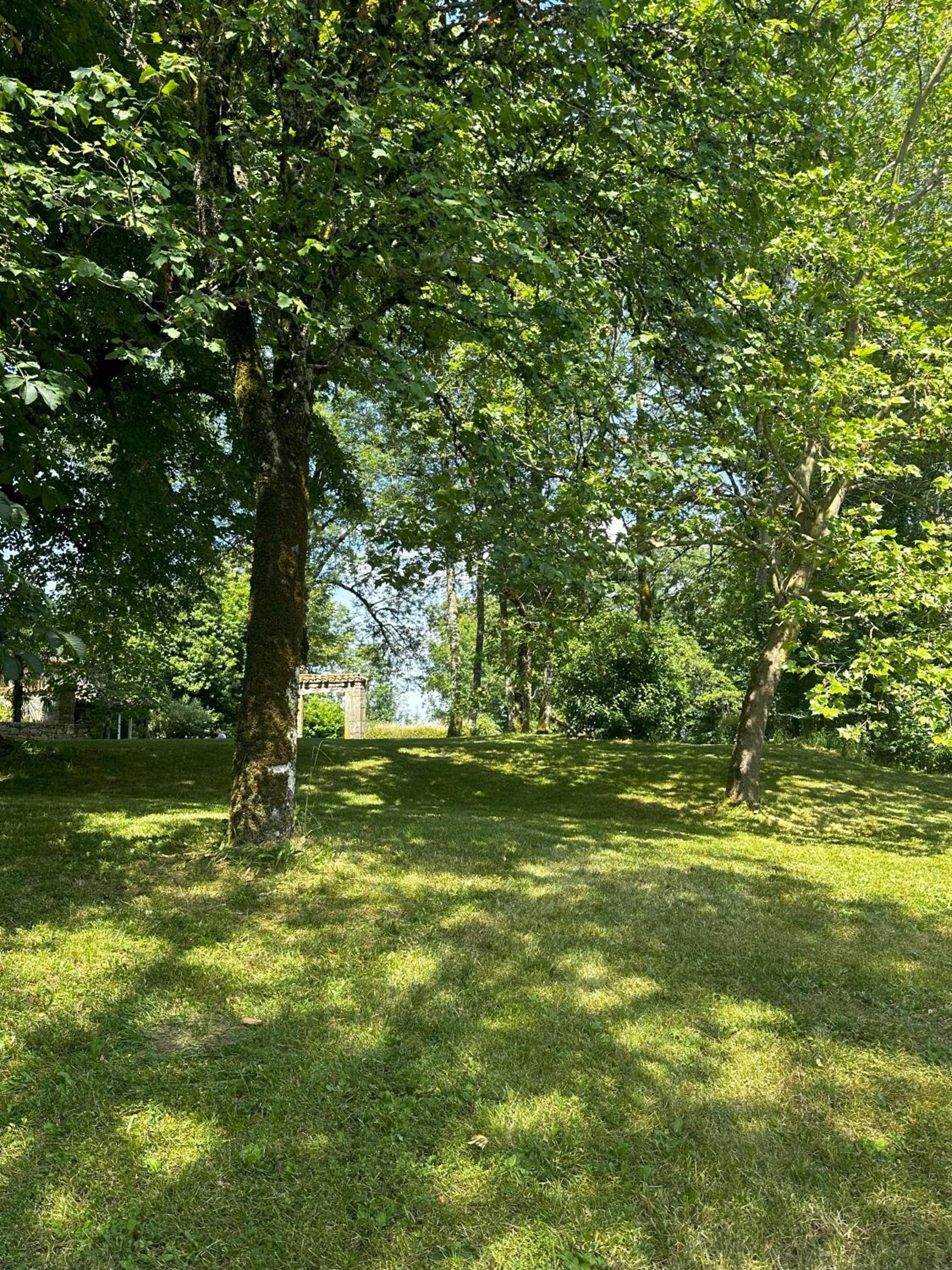 Les Hauts de Sauliès