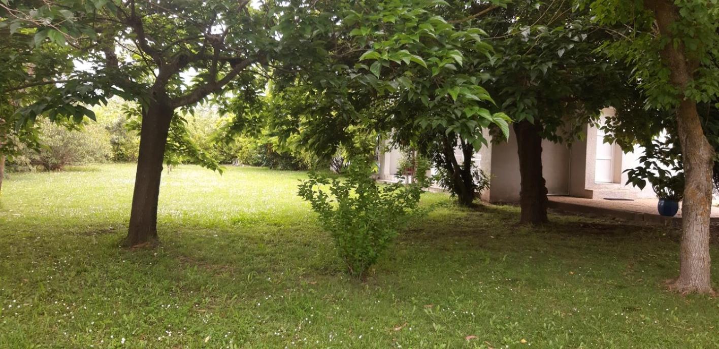 Photo 36