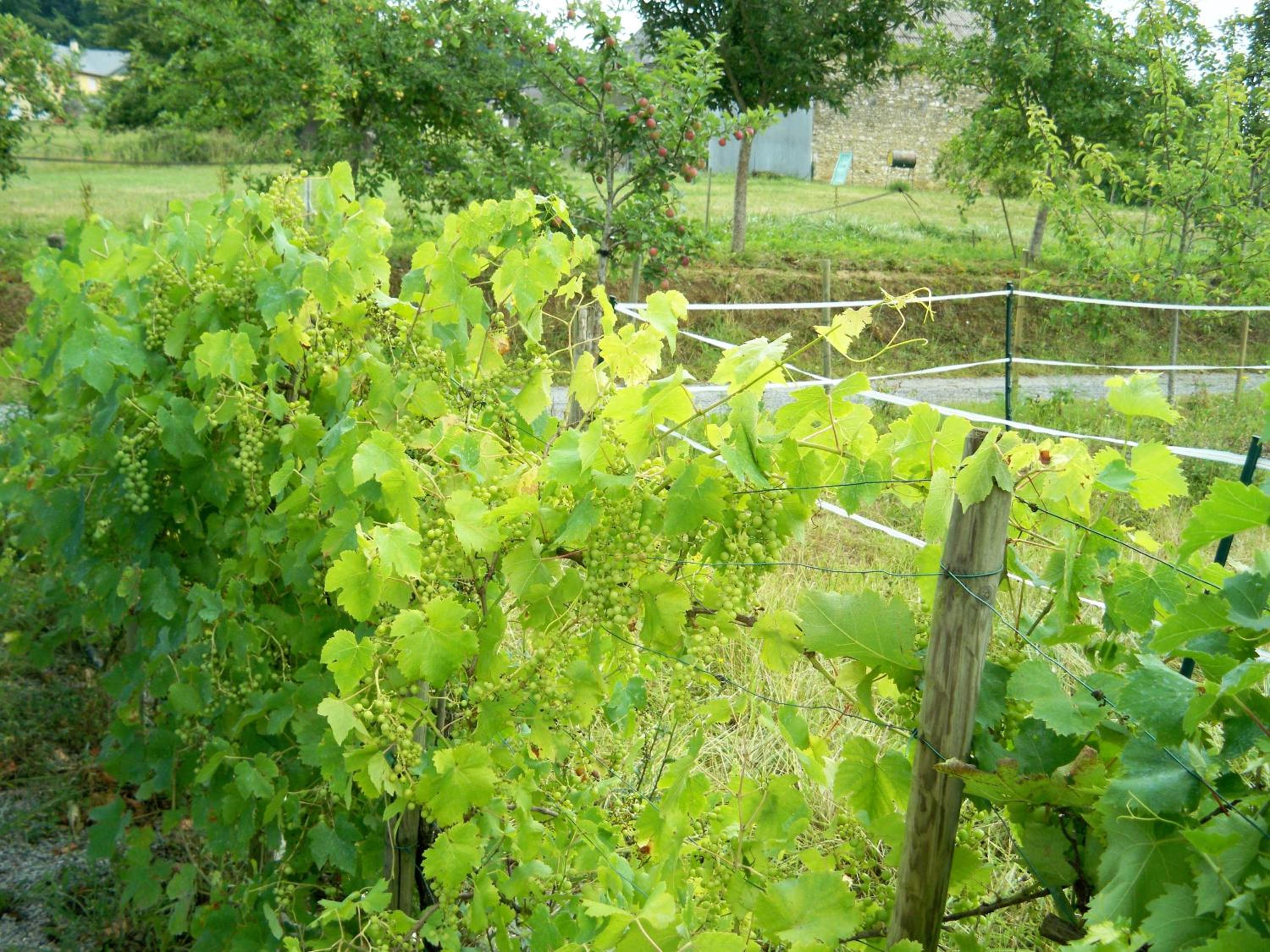 Photo 14