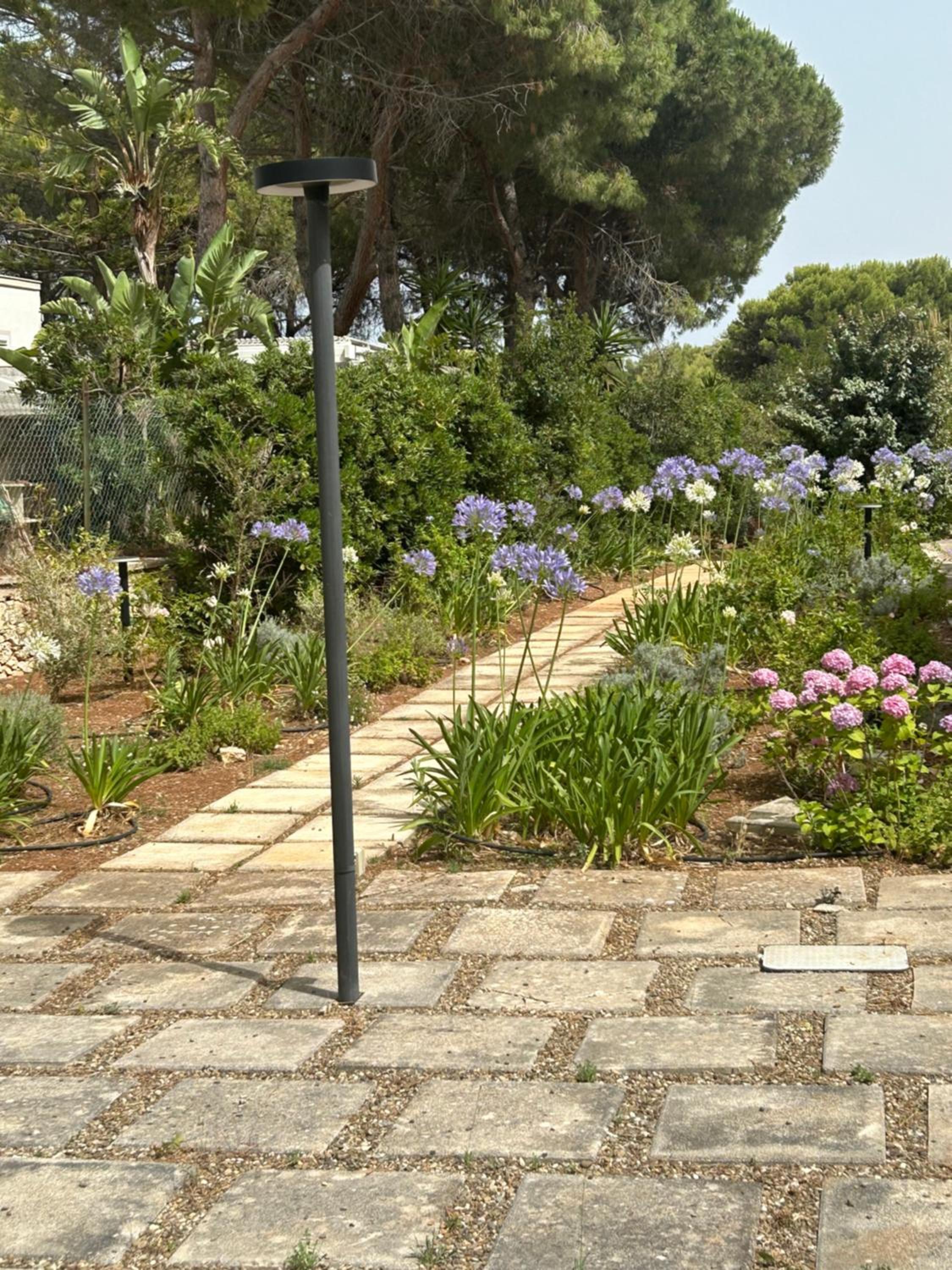Villa Jobè photo 3