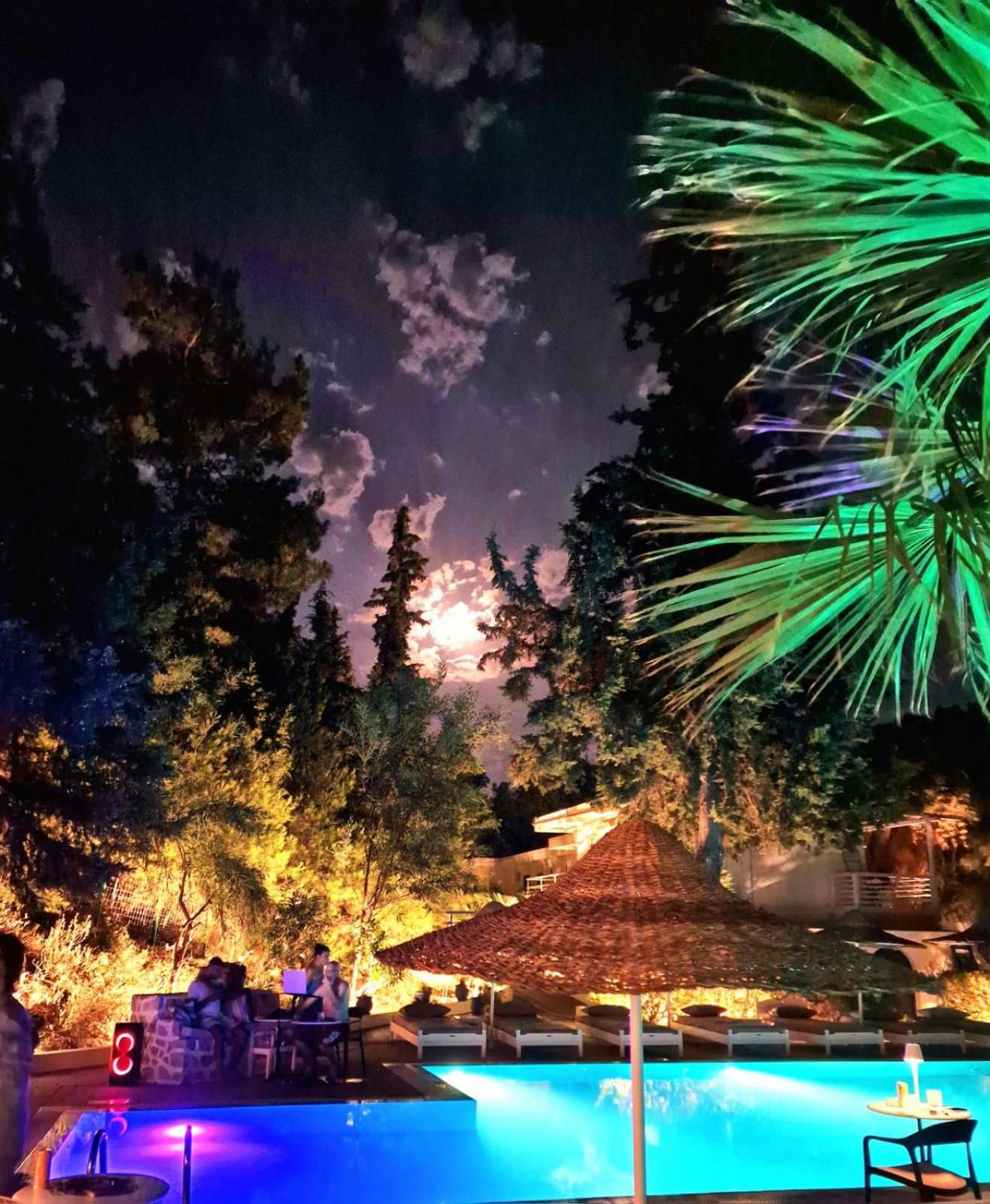 Hotel Trees Art Hotel Suites - Image 1