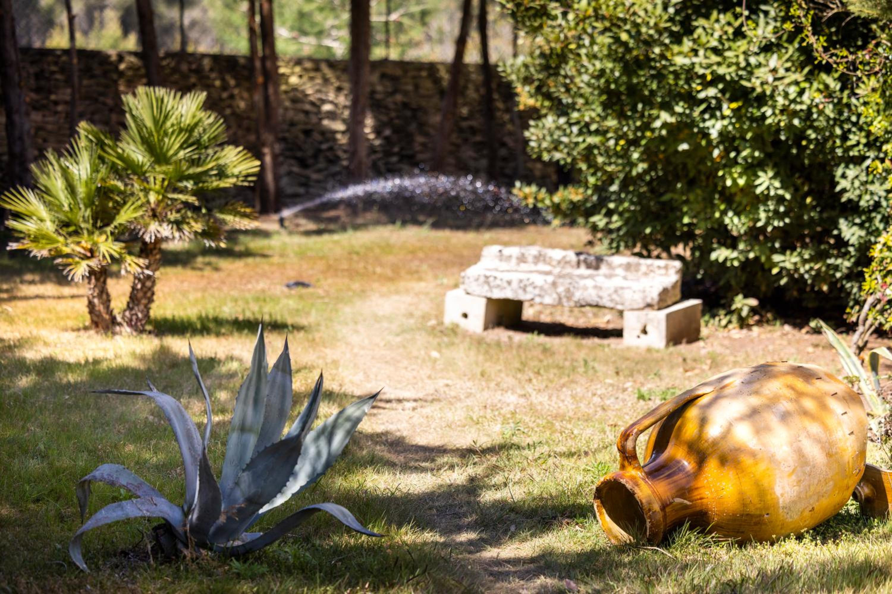 Tenuta Santicuti