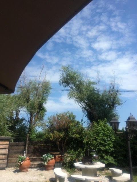 Bella Garden view 5