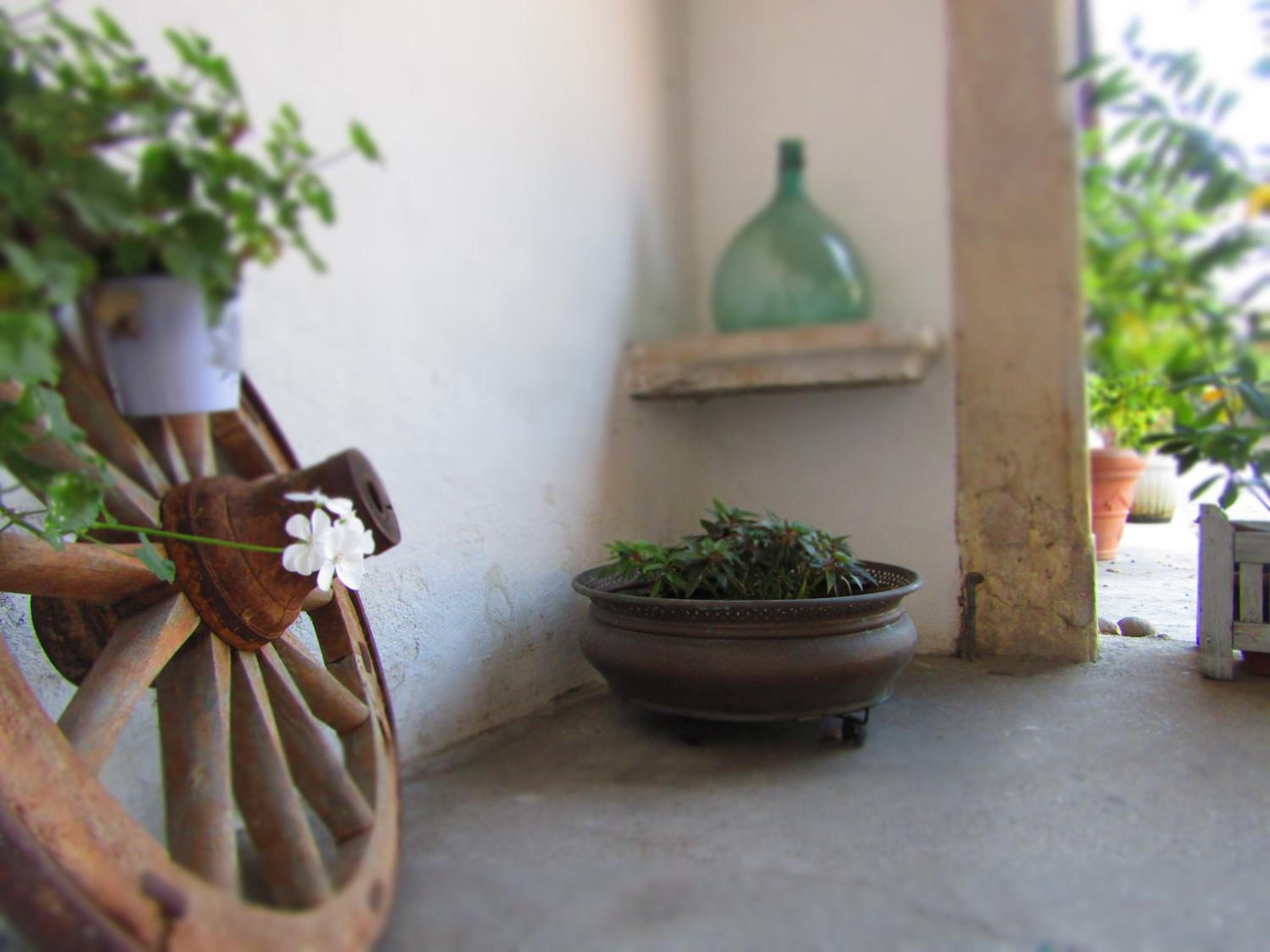 Photo 36