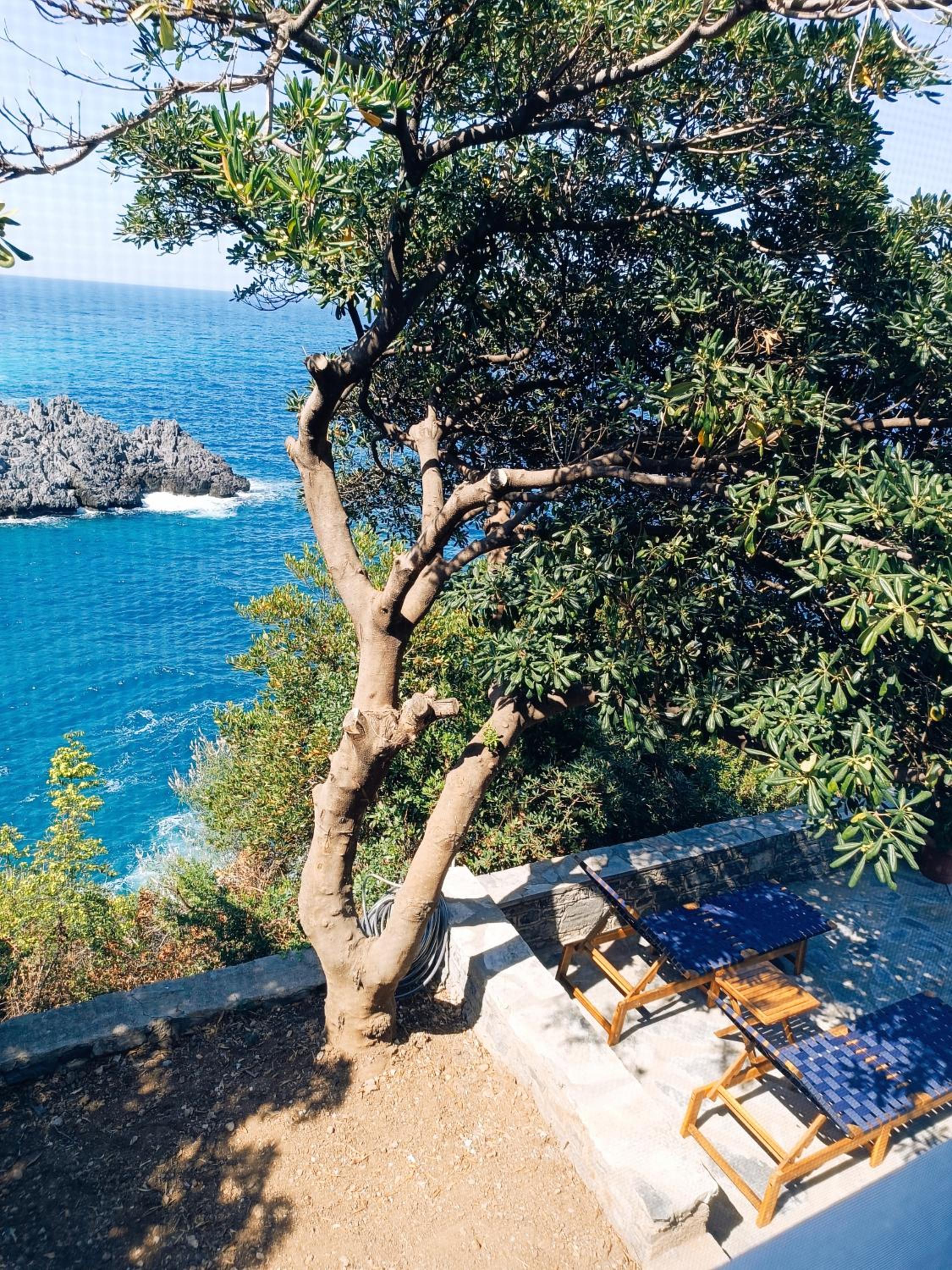 The Life Suites view 5