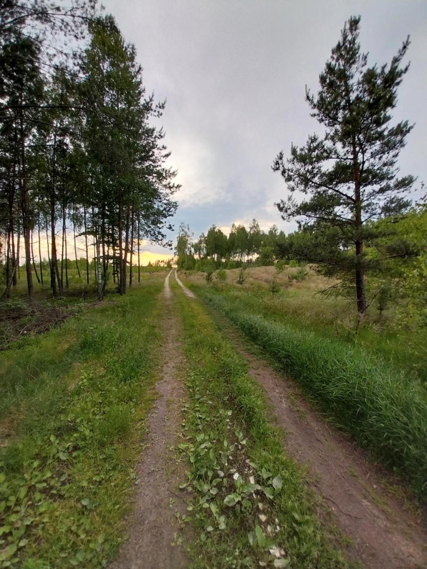 Photo 26