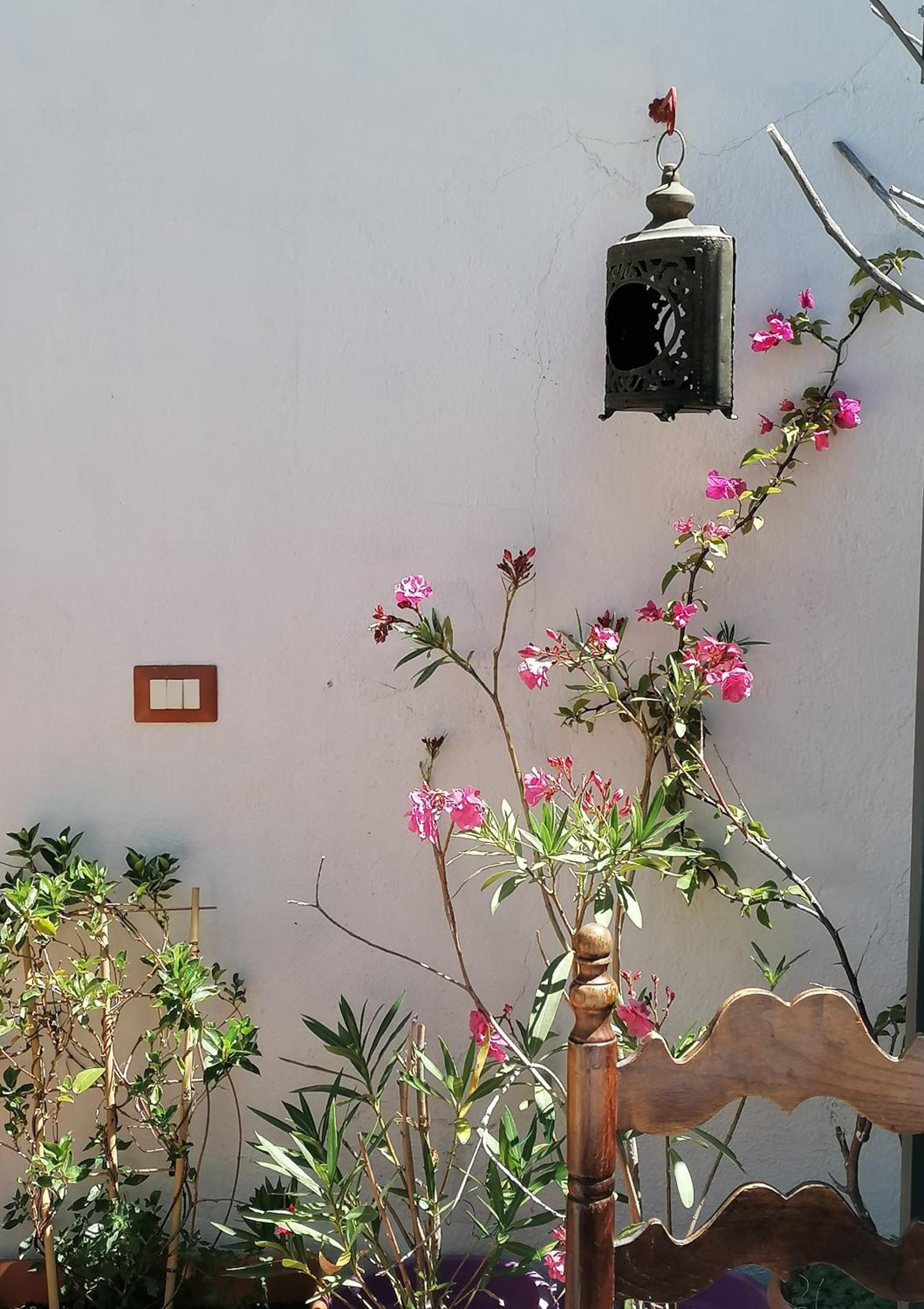 B&B CasaCorì view 3
