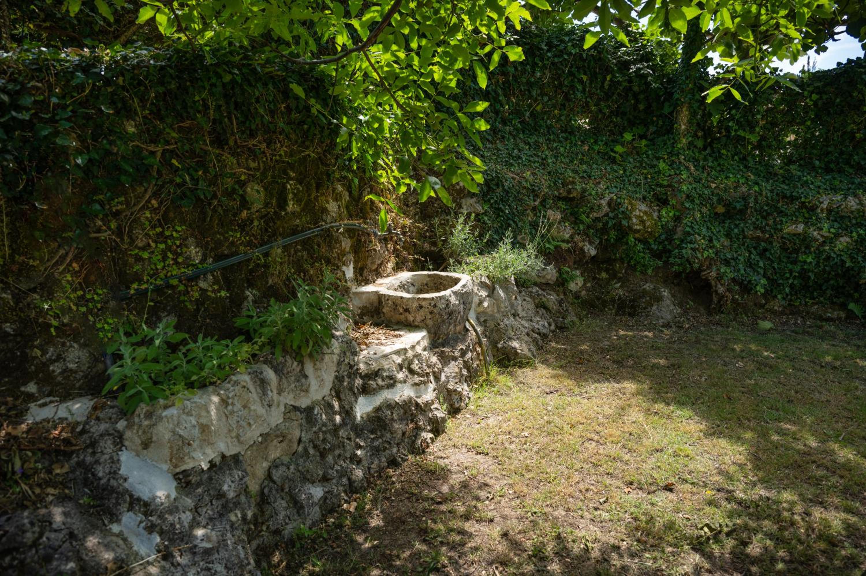Galini Vines - Authentic Corfu village life WiFi AC view 4