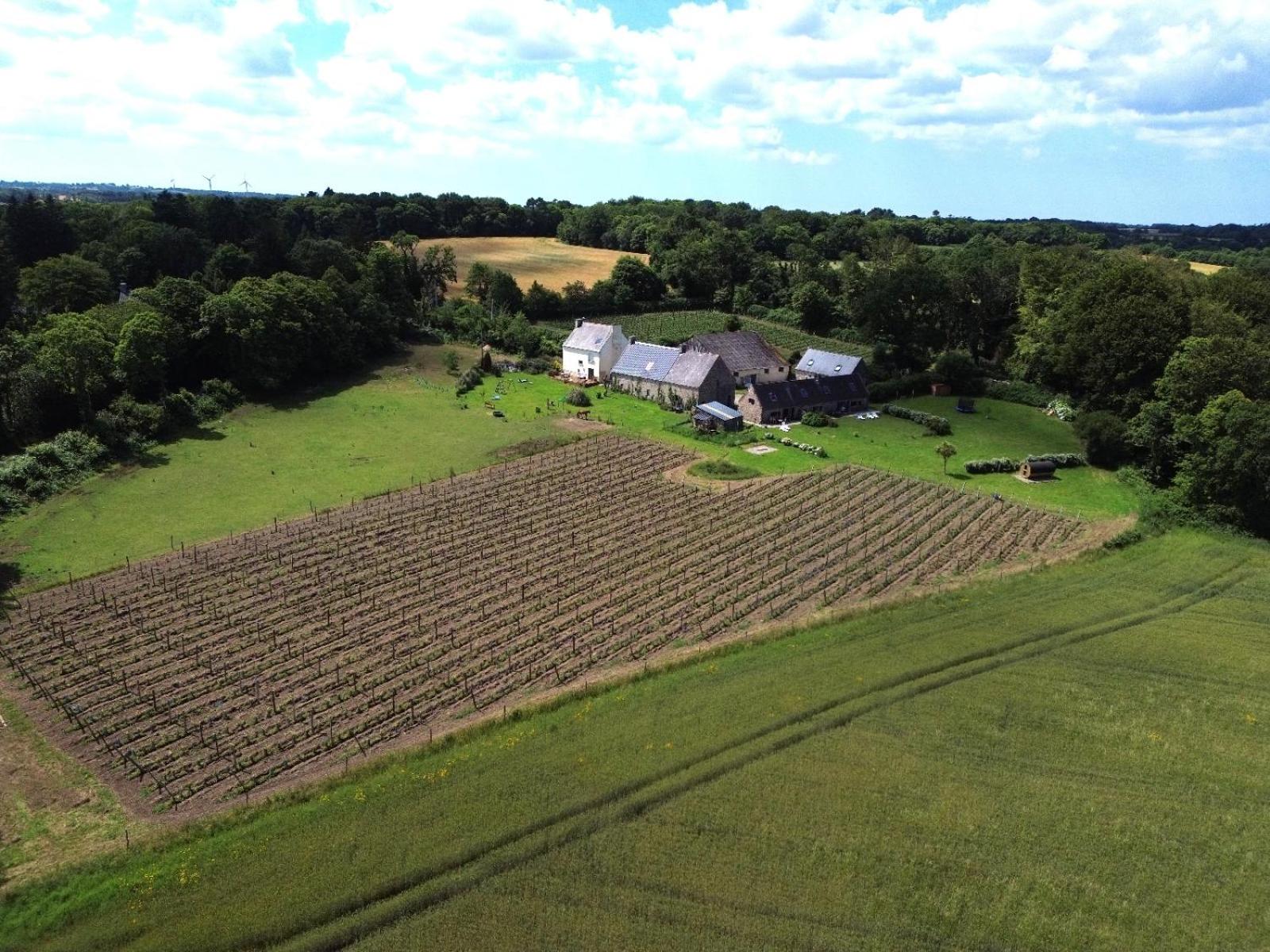 Le Domaine de Kerampape, gîte accessible, vignoble en Finistère sud