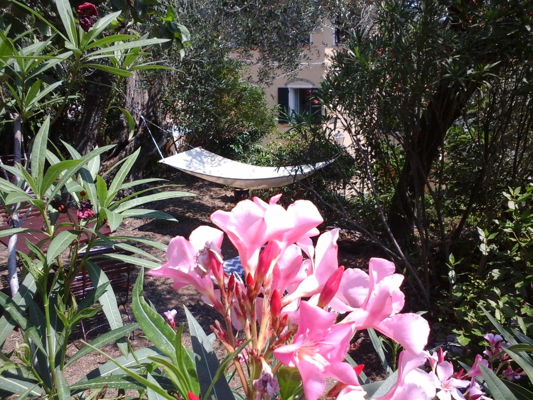B&B Ududemà view 4