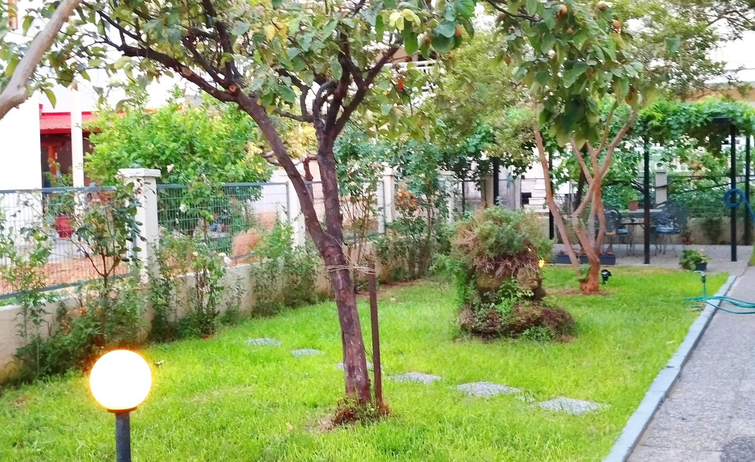 Photo 22