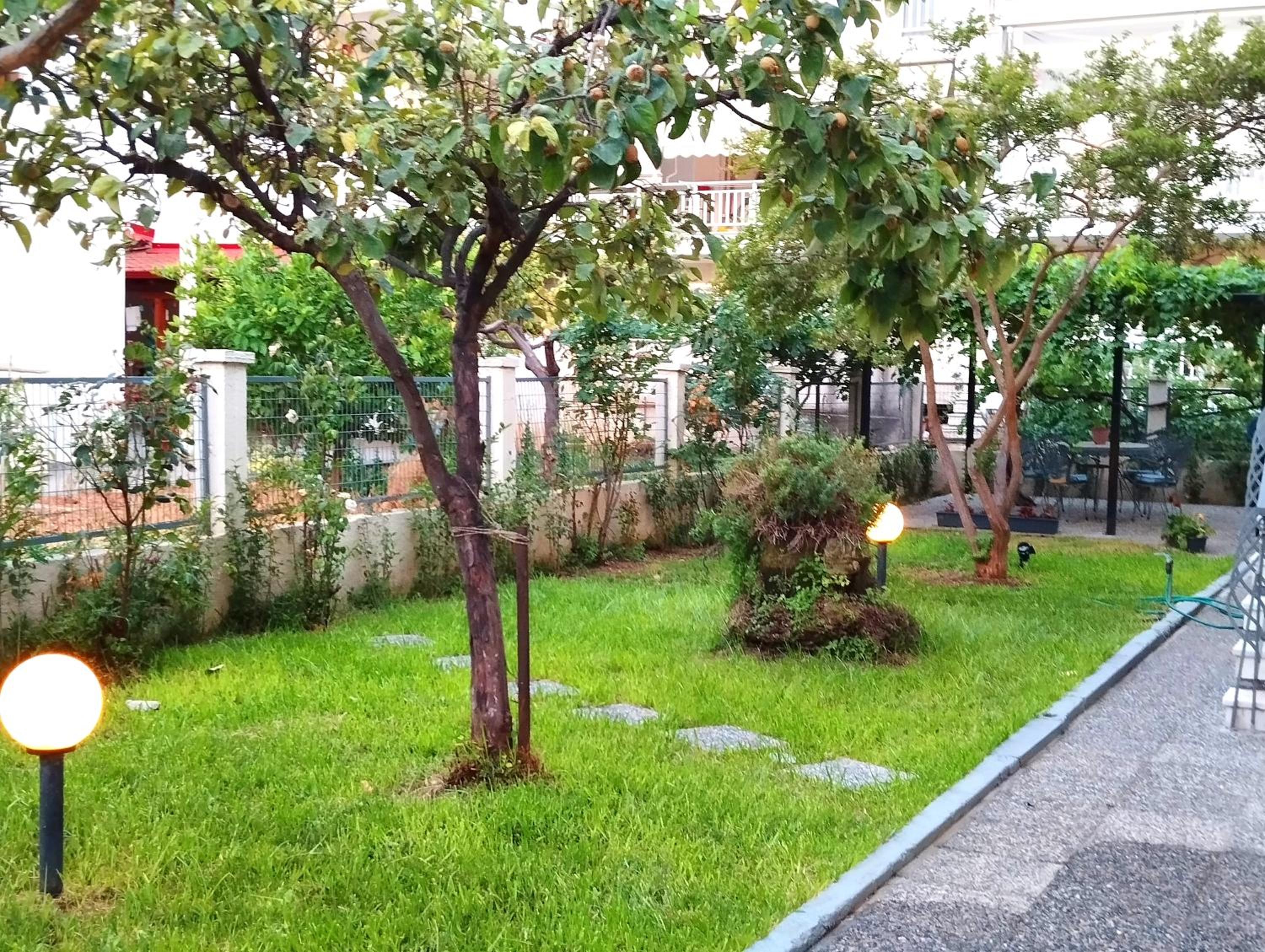 Photo 23