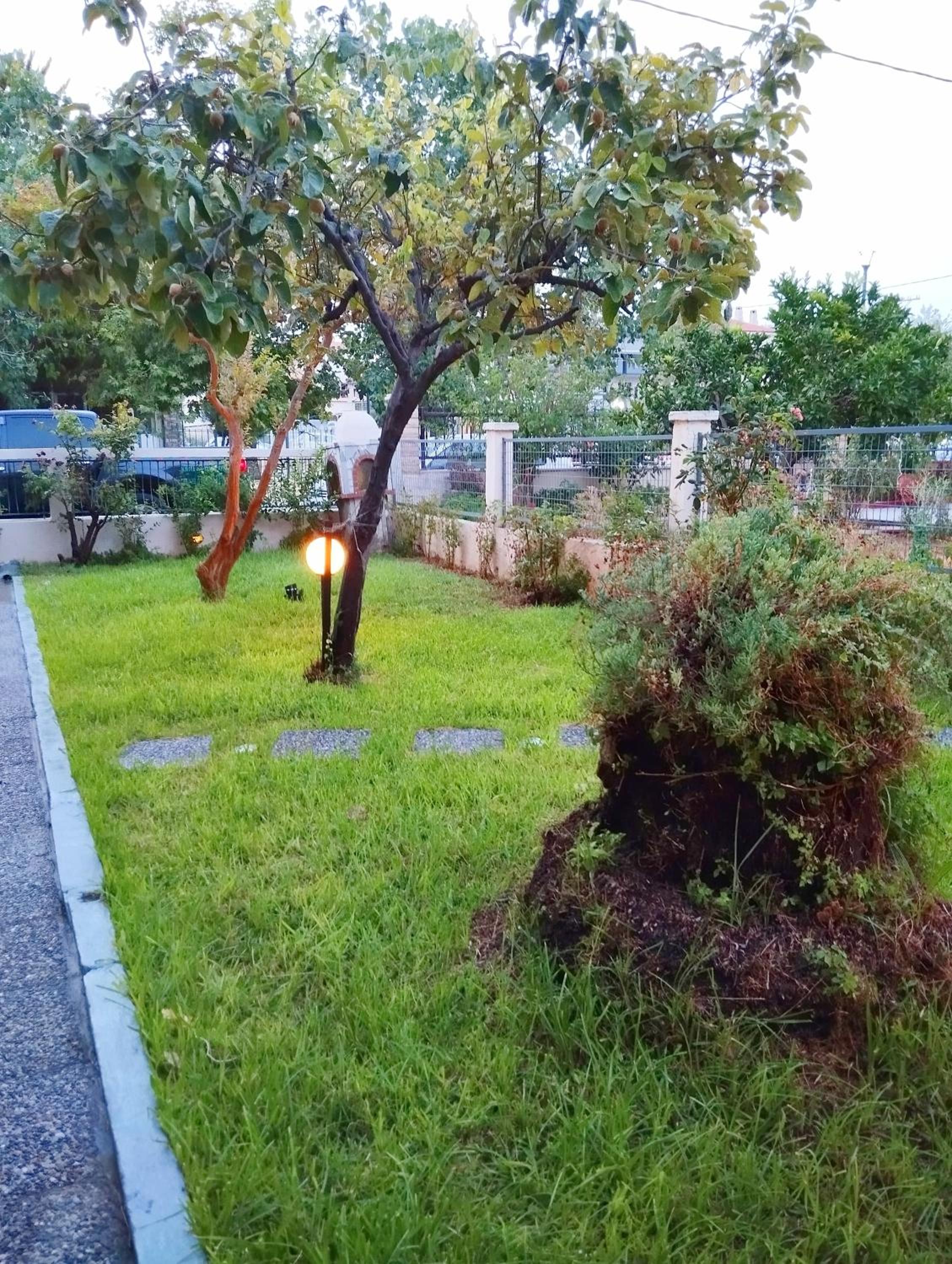 Photo 25
