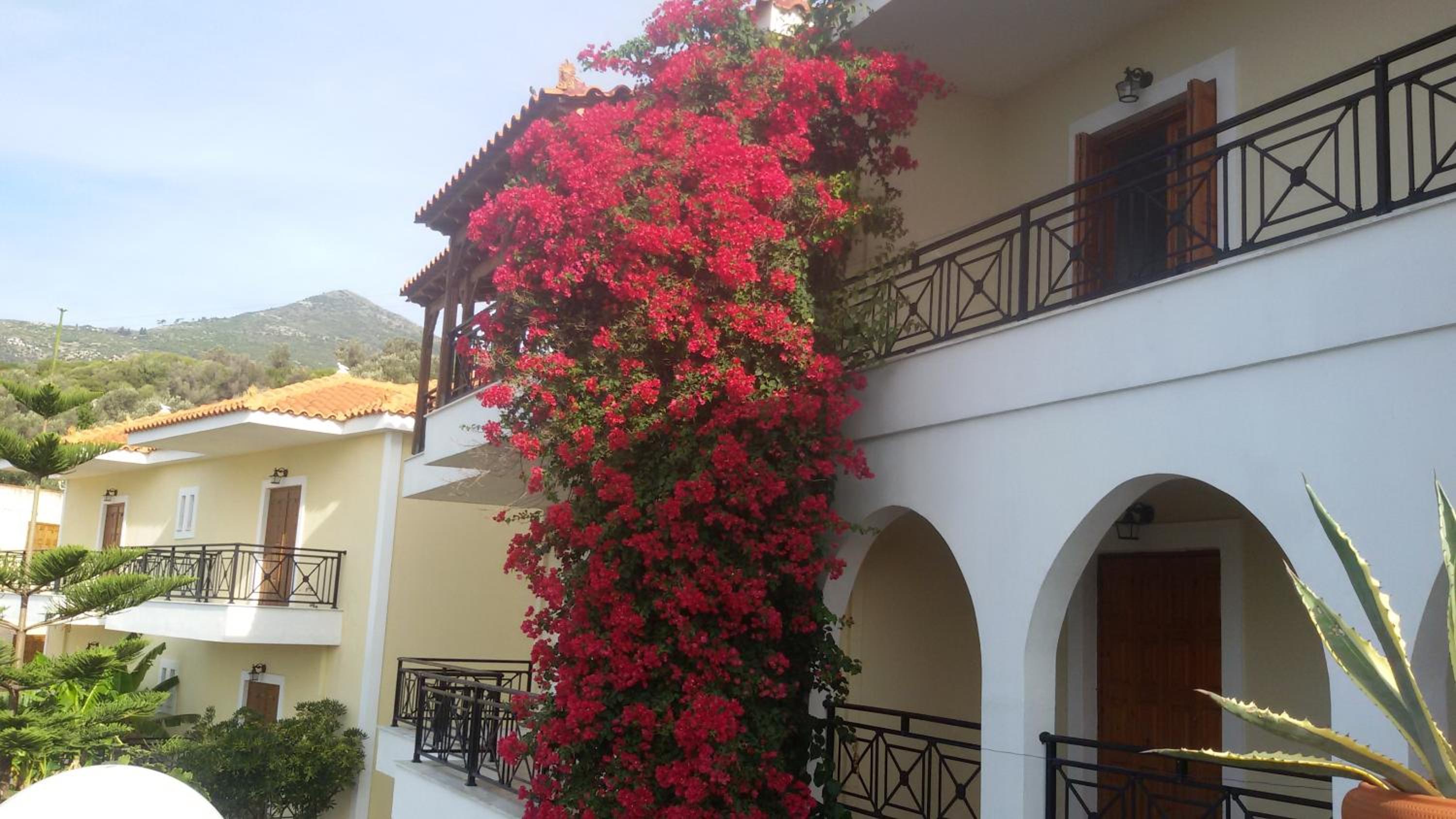 Balcony & Terrace
