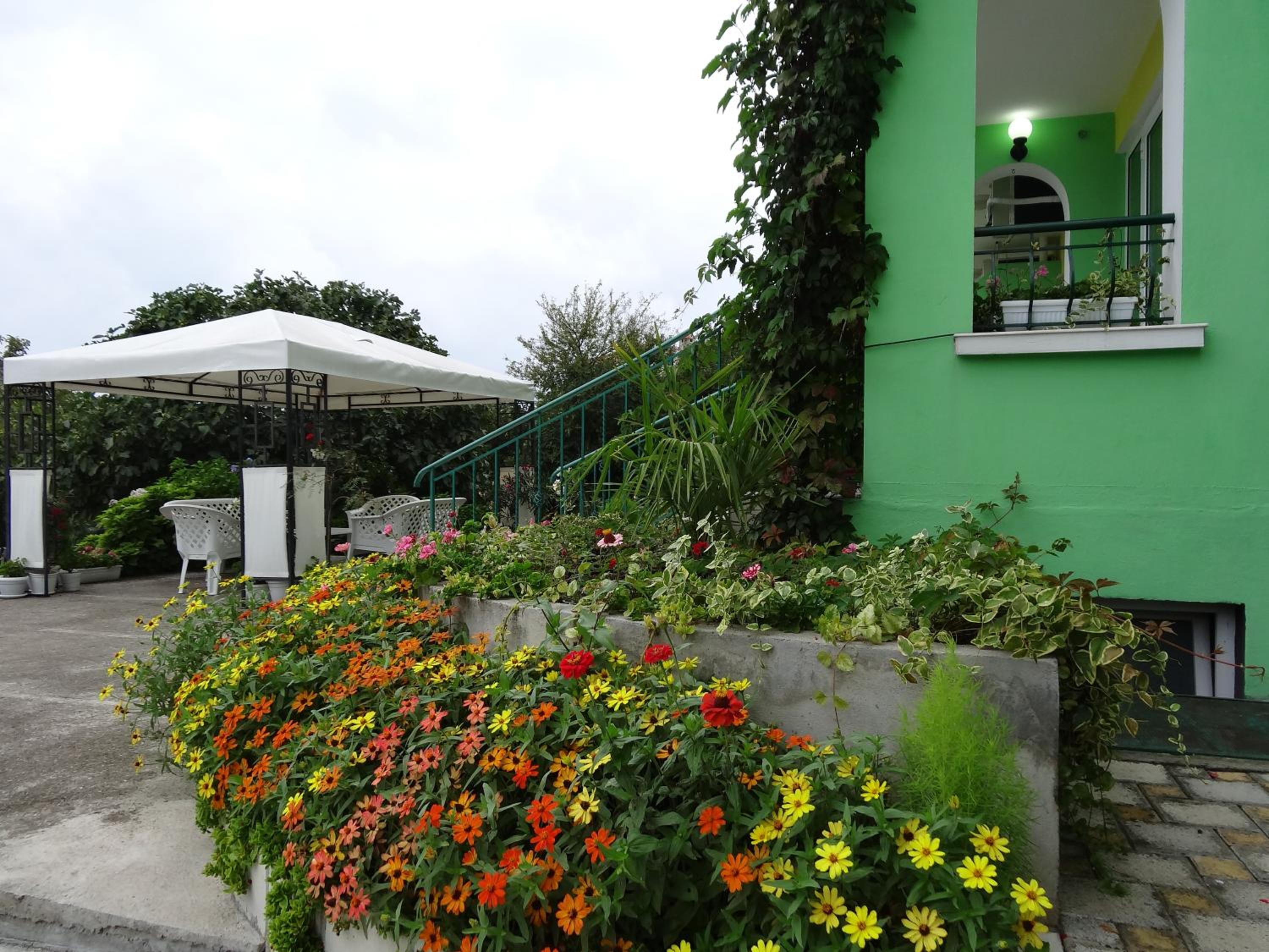 Photo 46