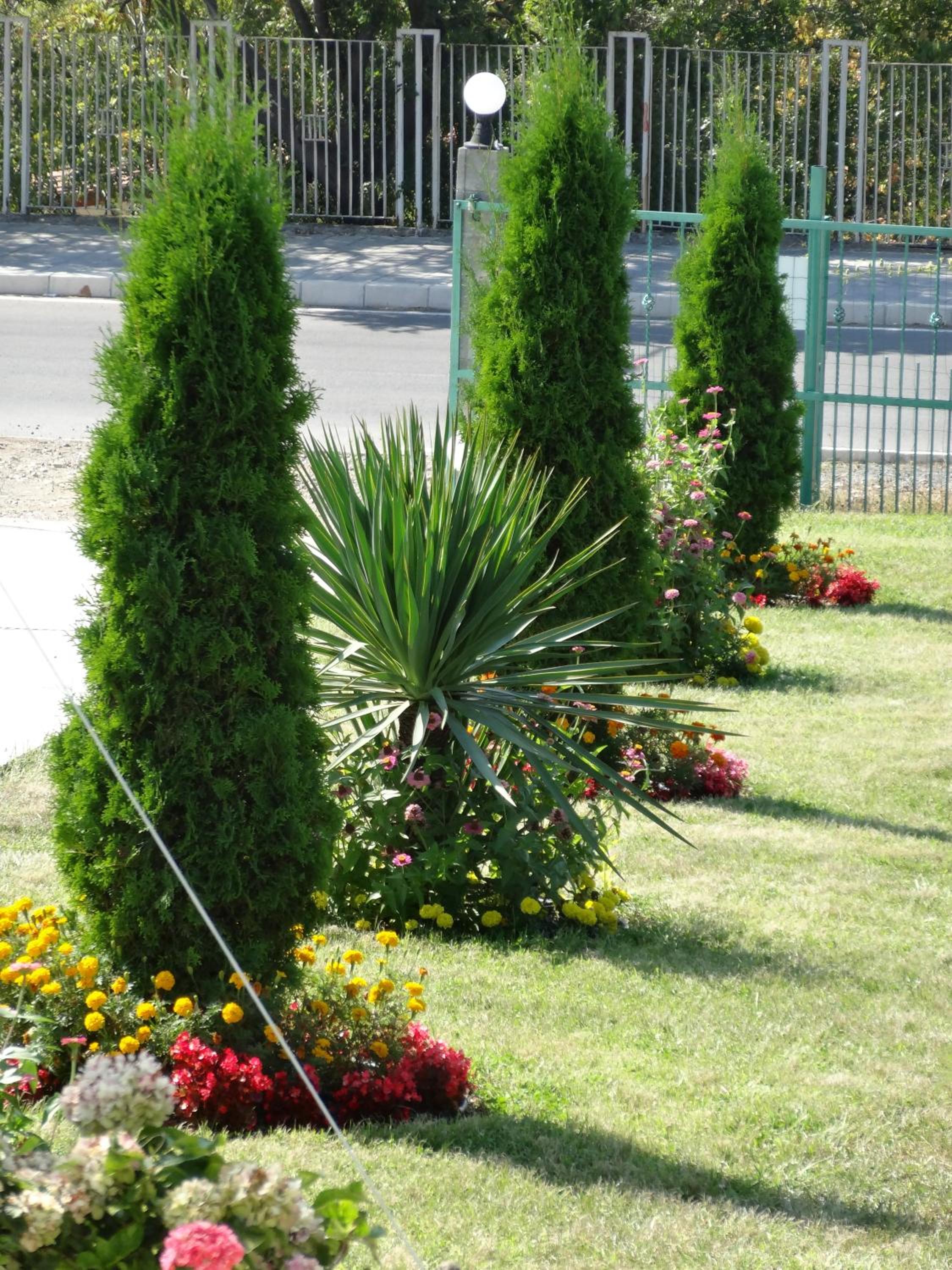 Photo 44