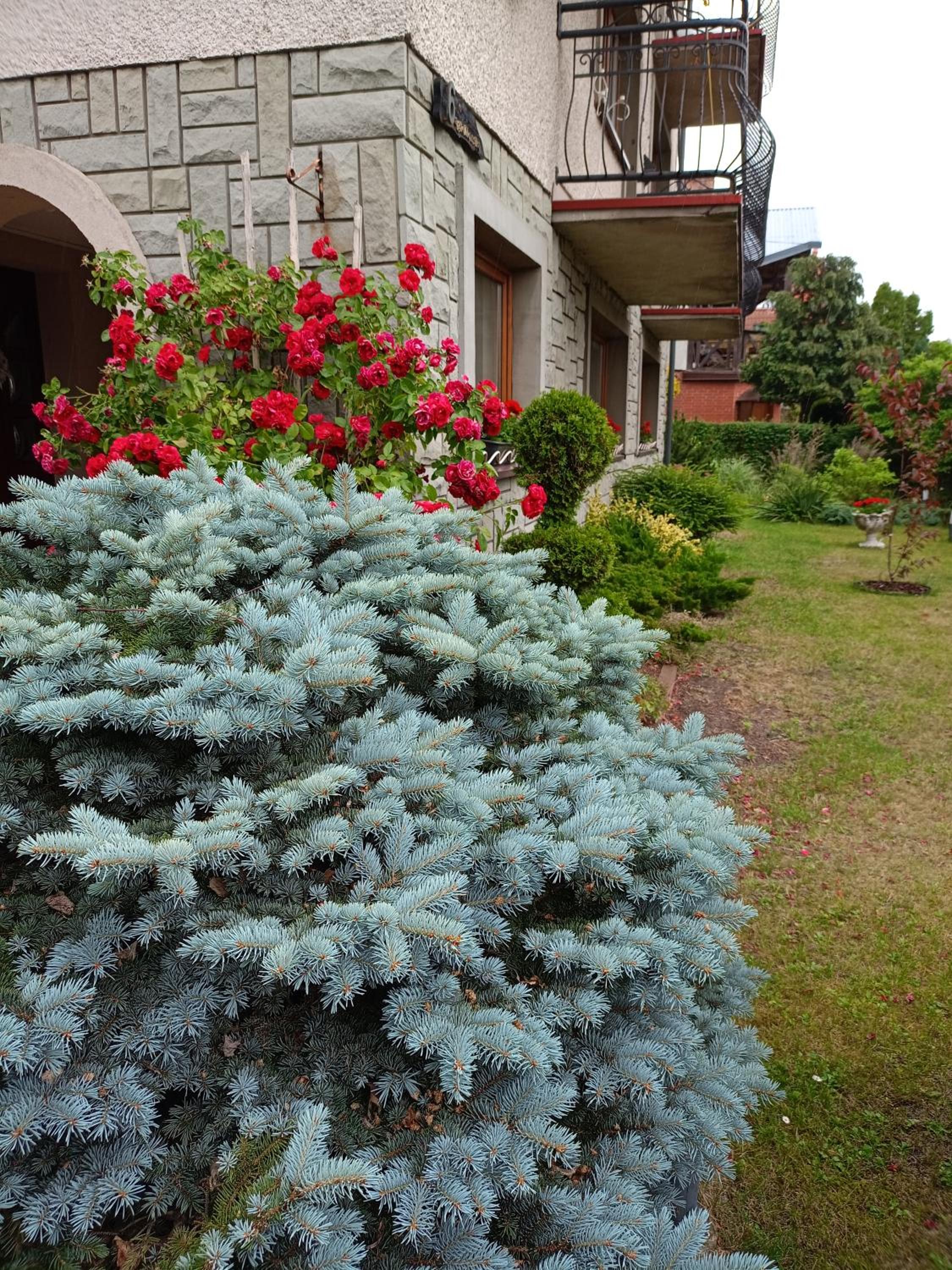Photo 47