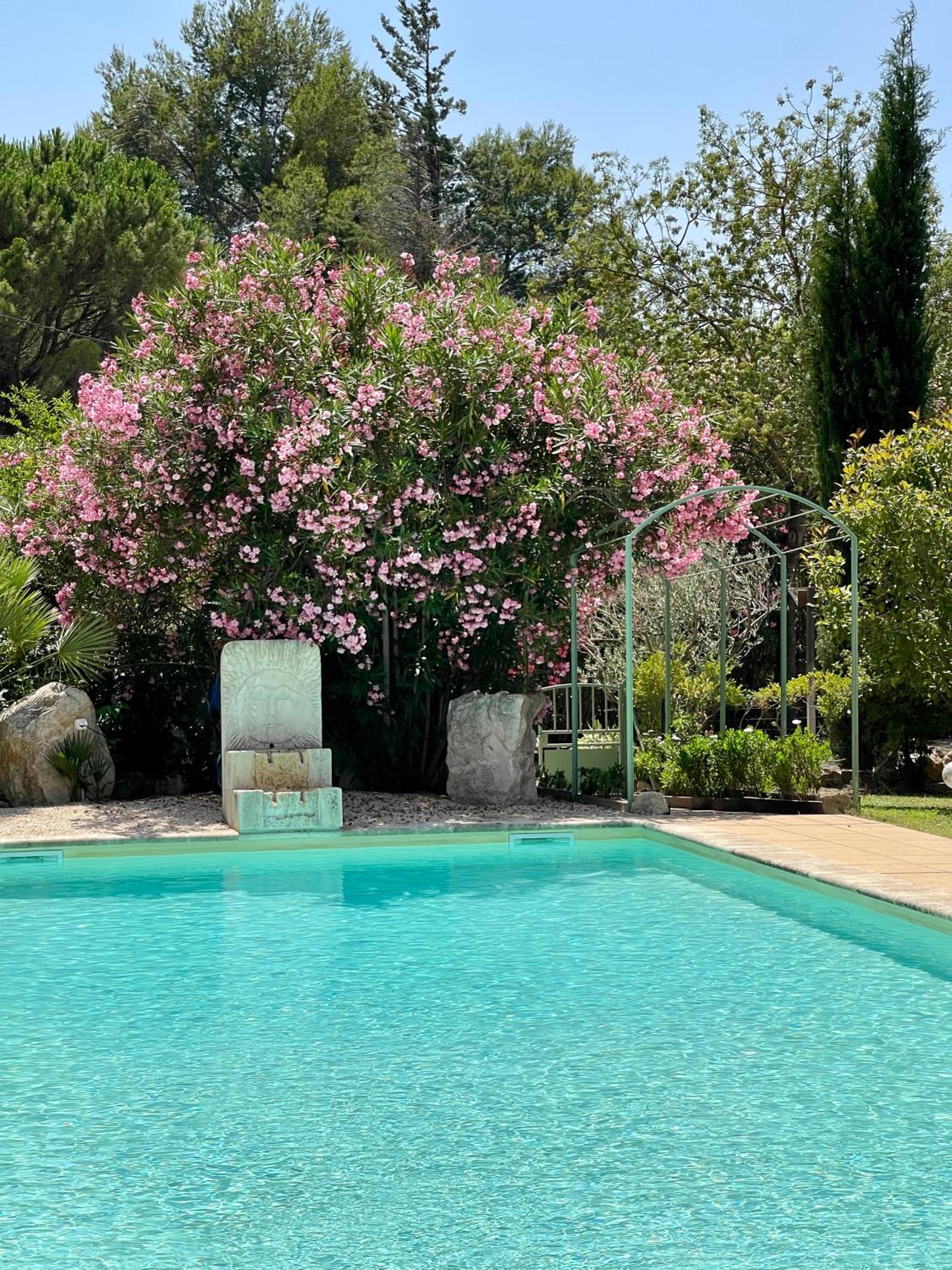 Domaine Au Coeur des Alpilles view 5