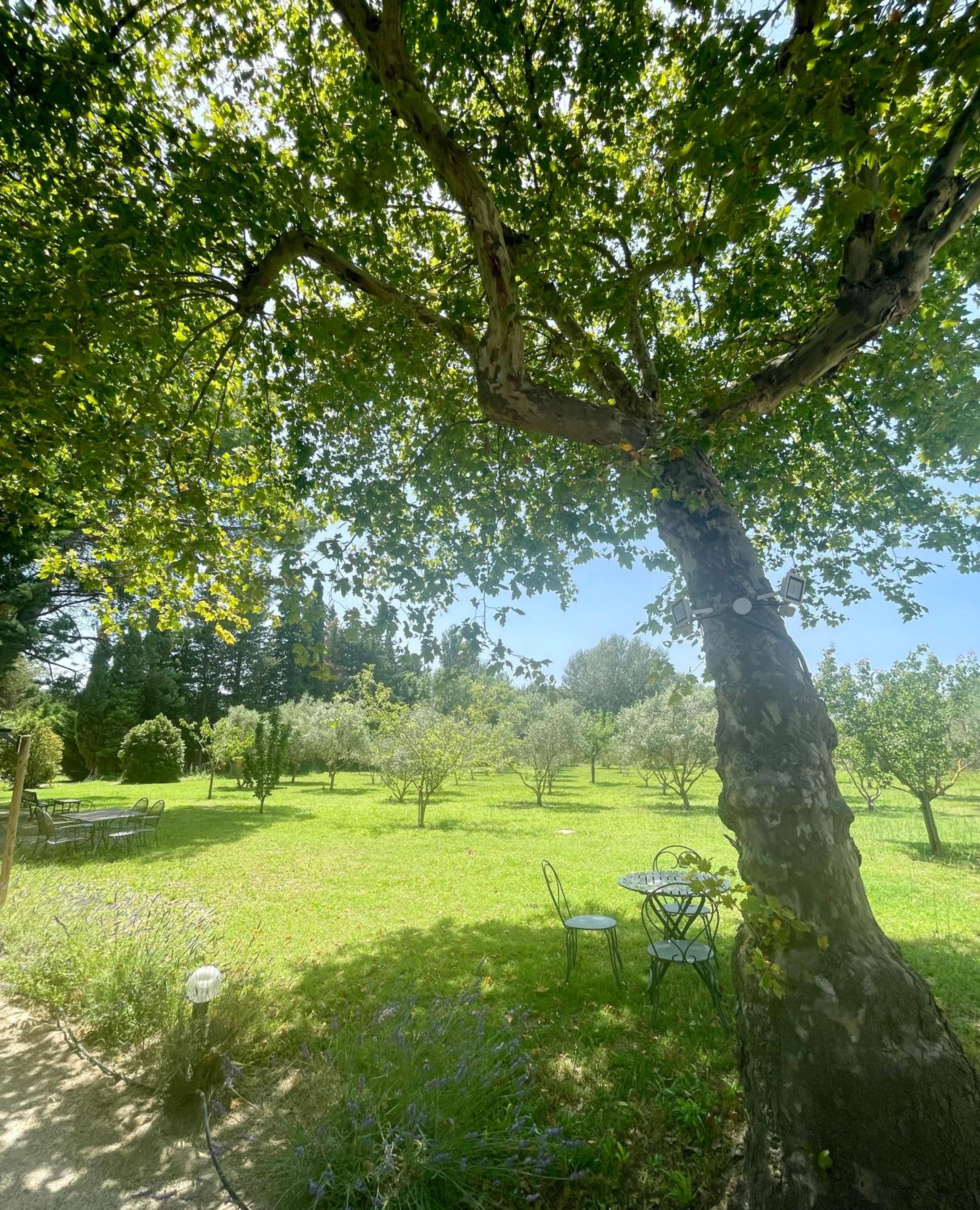 Photo 13
