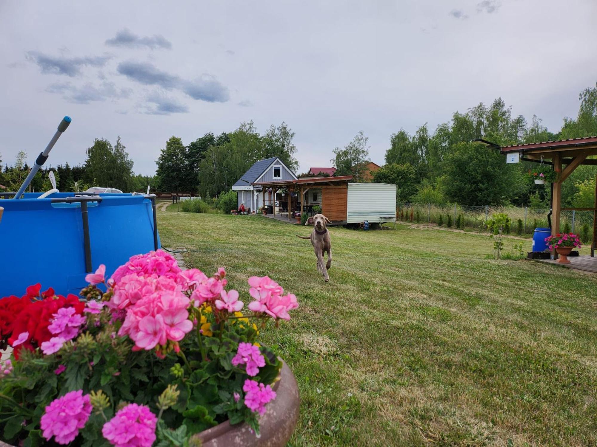 Photo 41