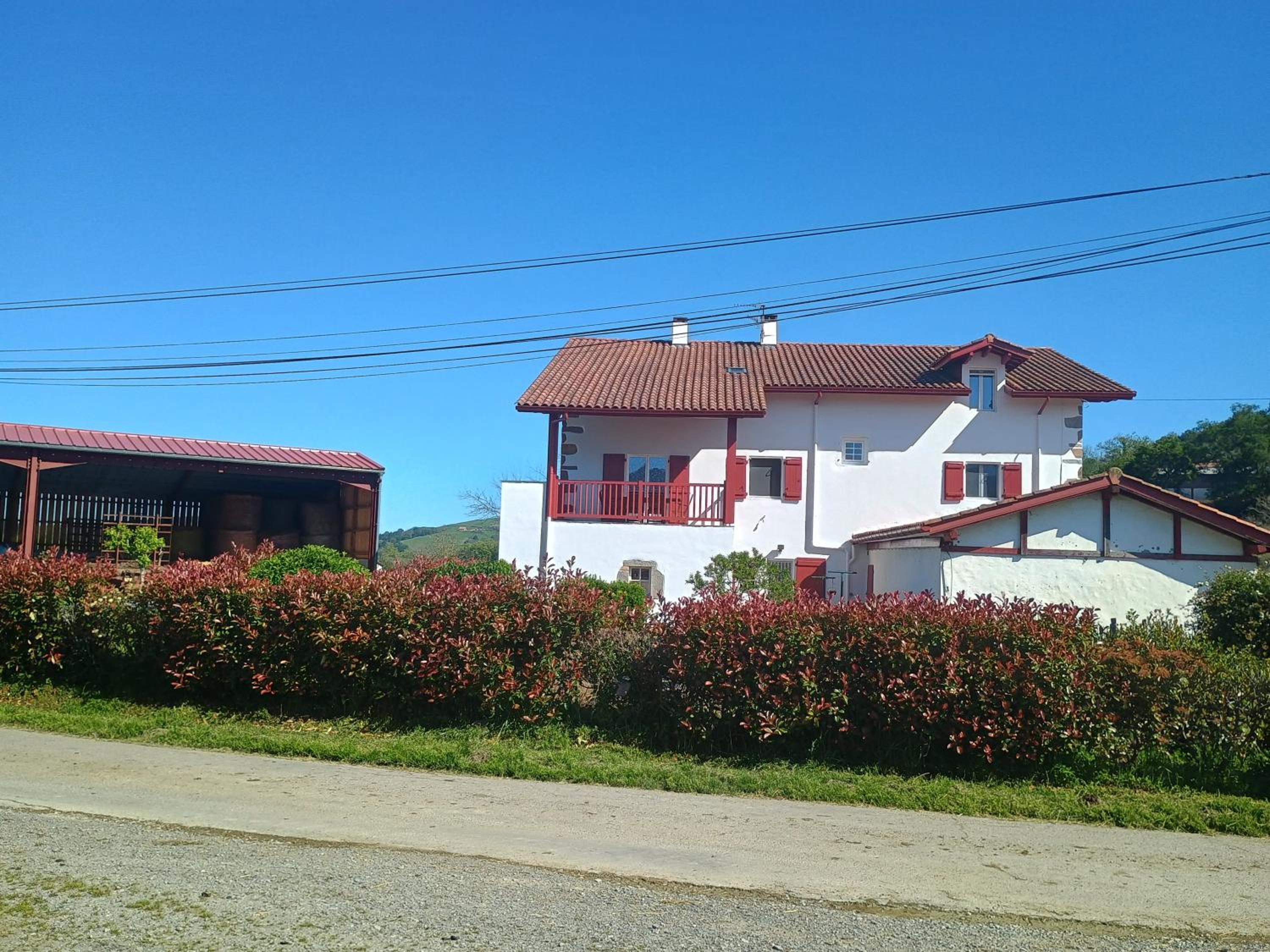 Photo 14
