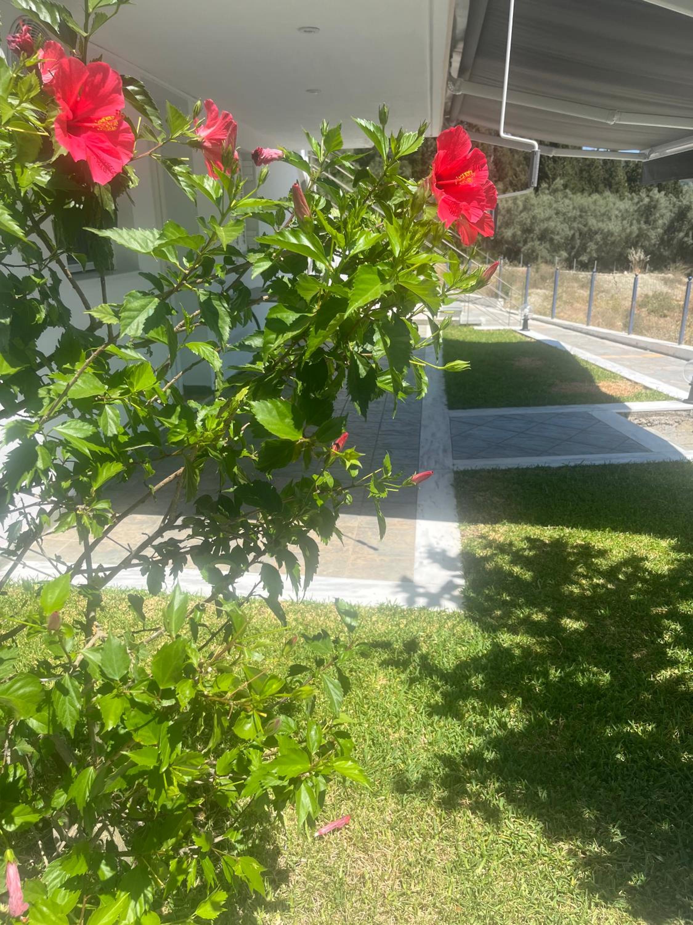 Photo 36