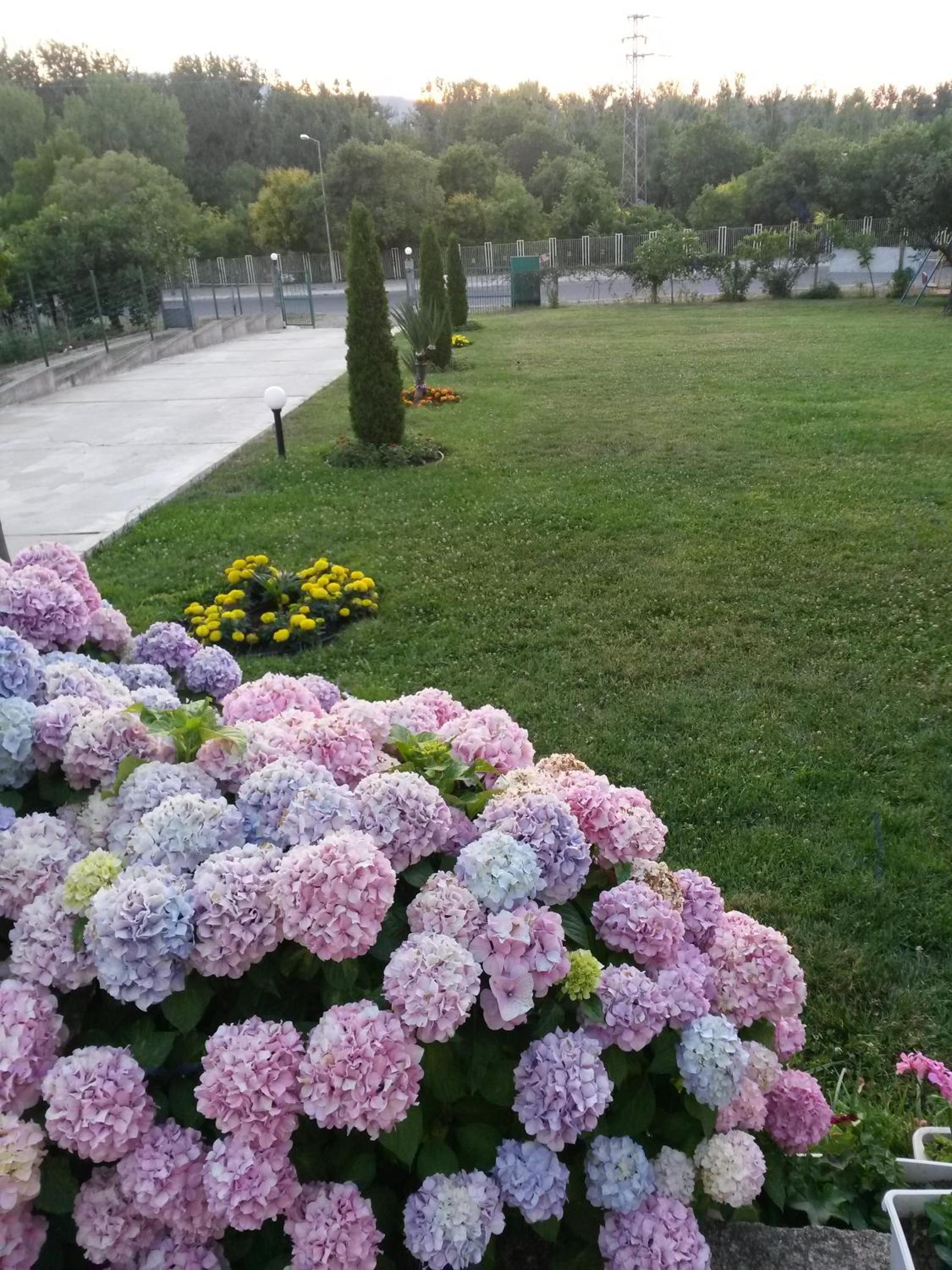 Photo 42