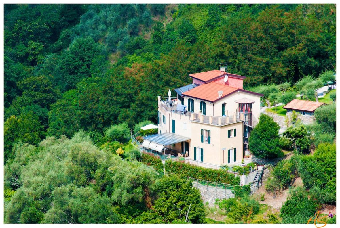 Villa Paggi Country House