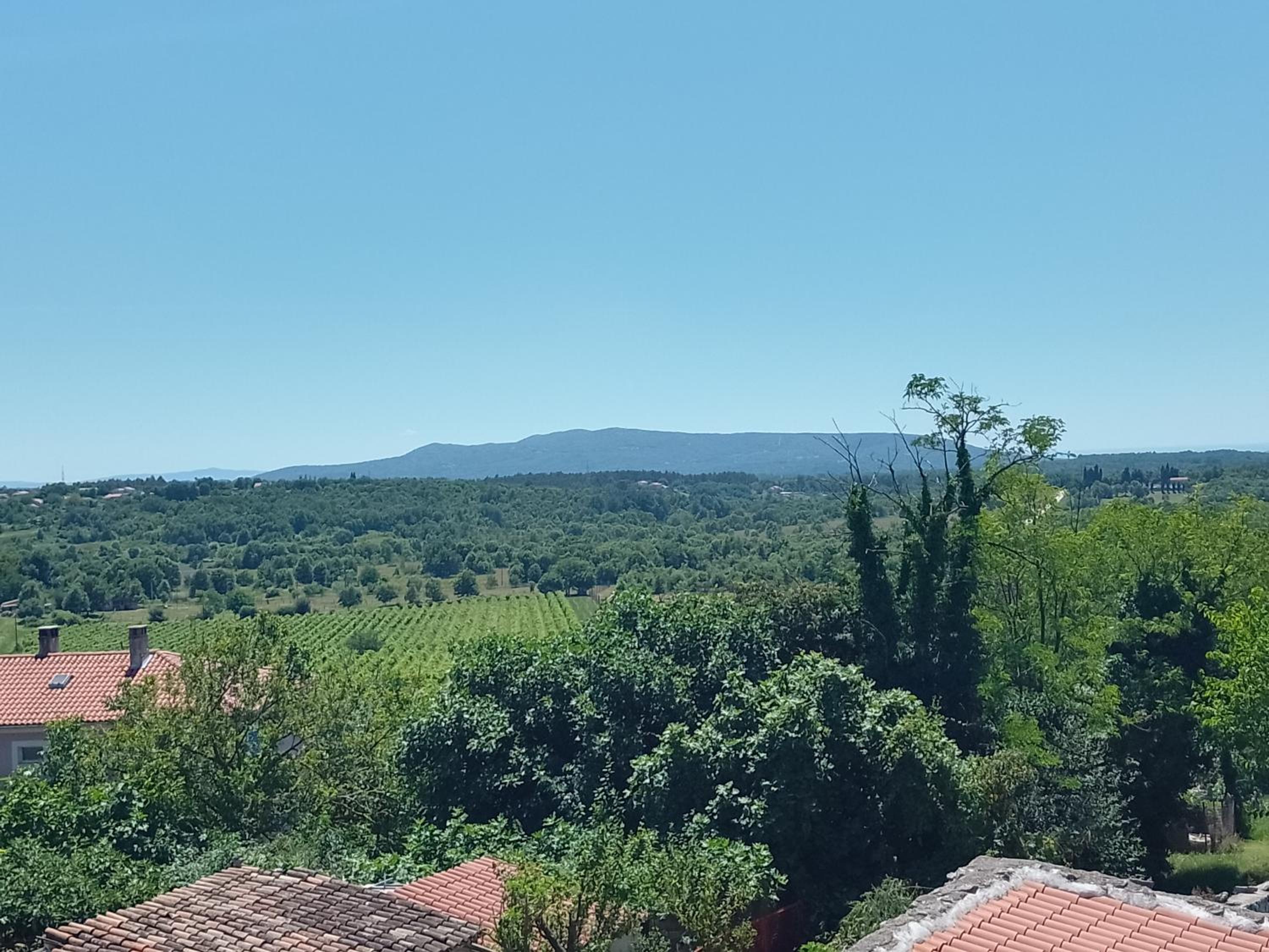 Apartments Lazzarini Battiala view 2