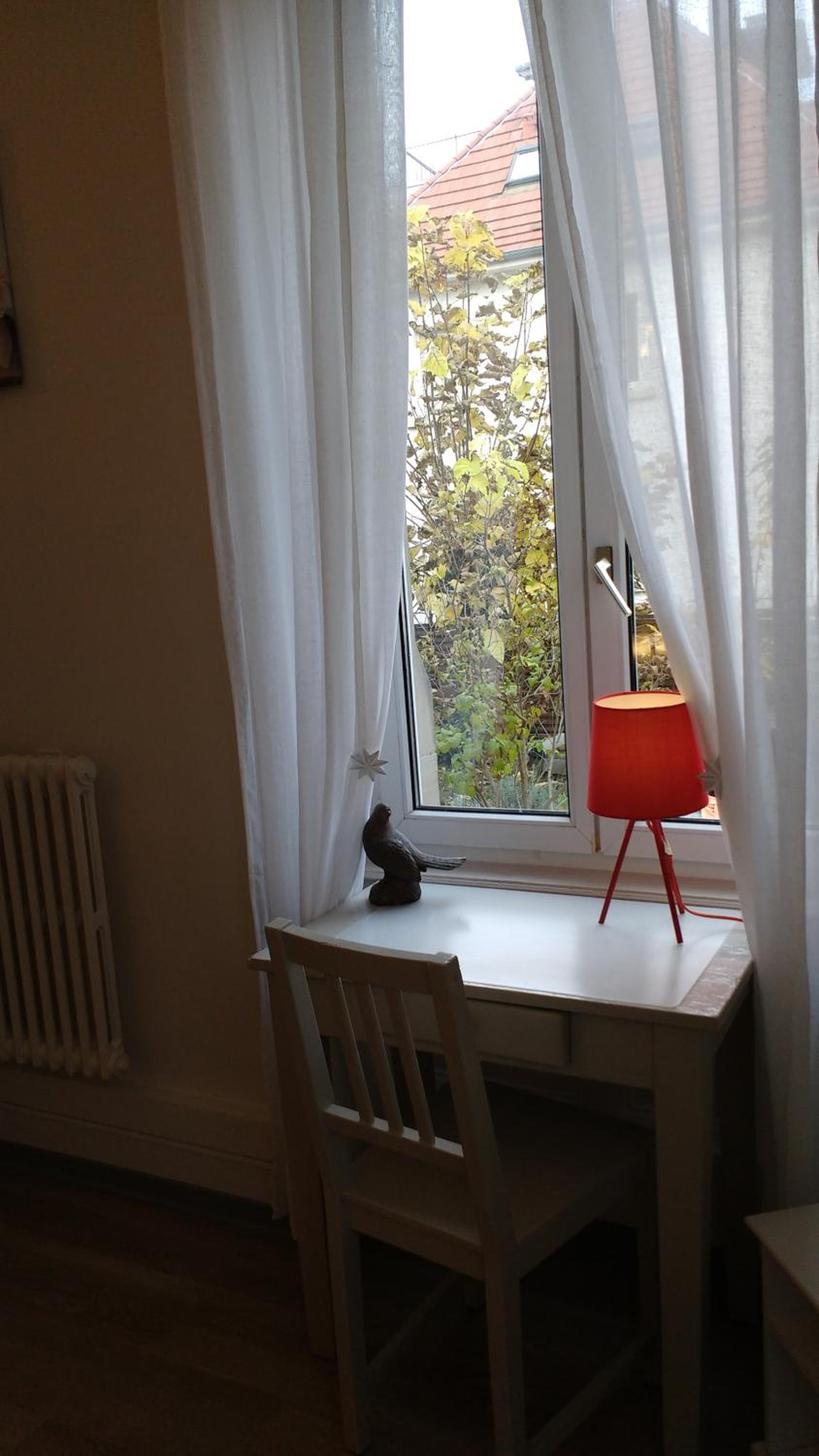Photo 42
