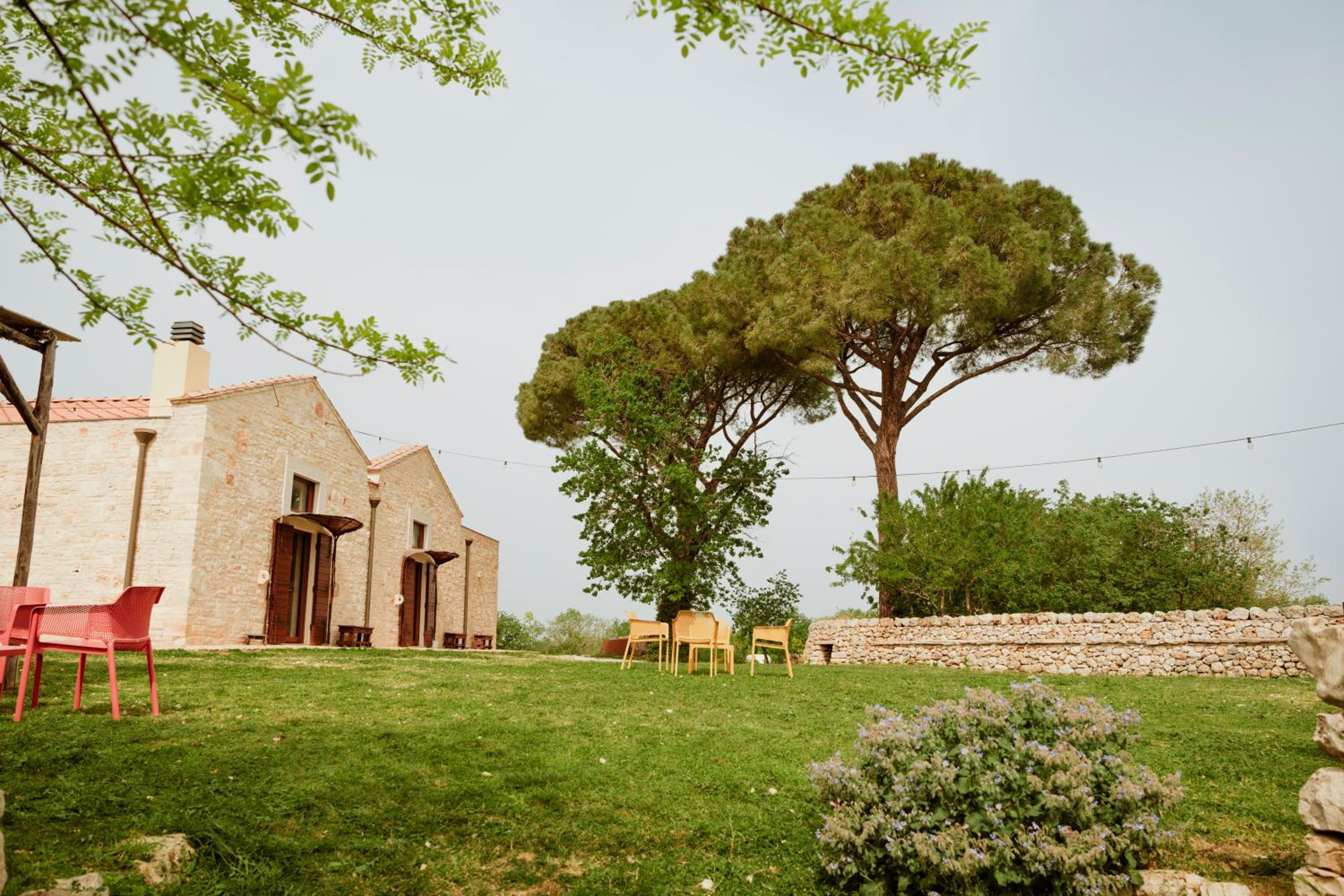 Tenuta Tedone Consolini