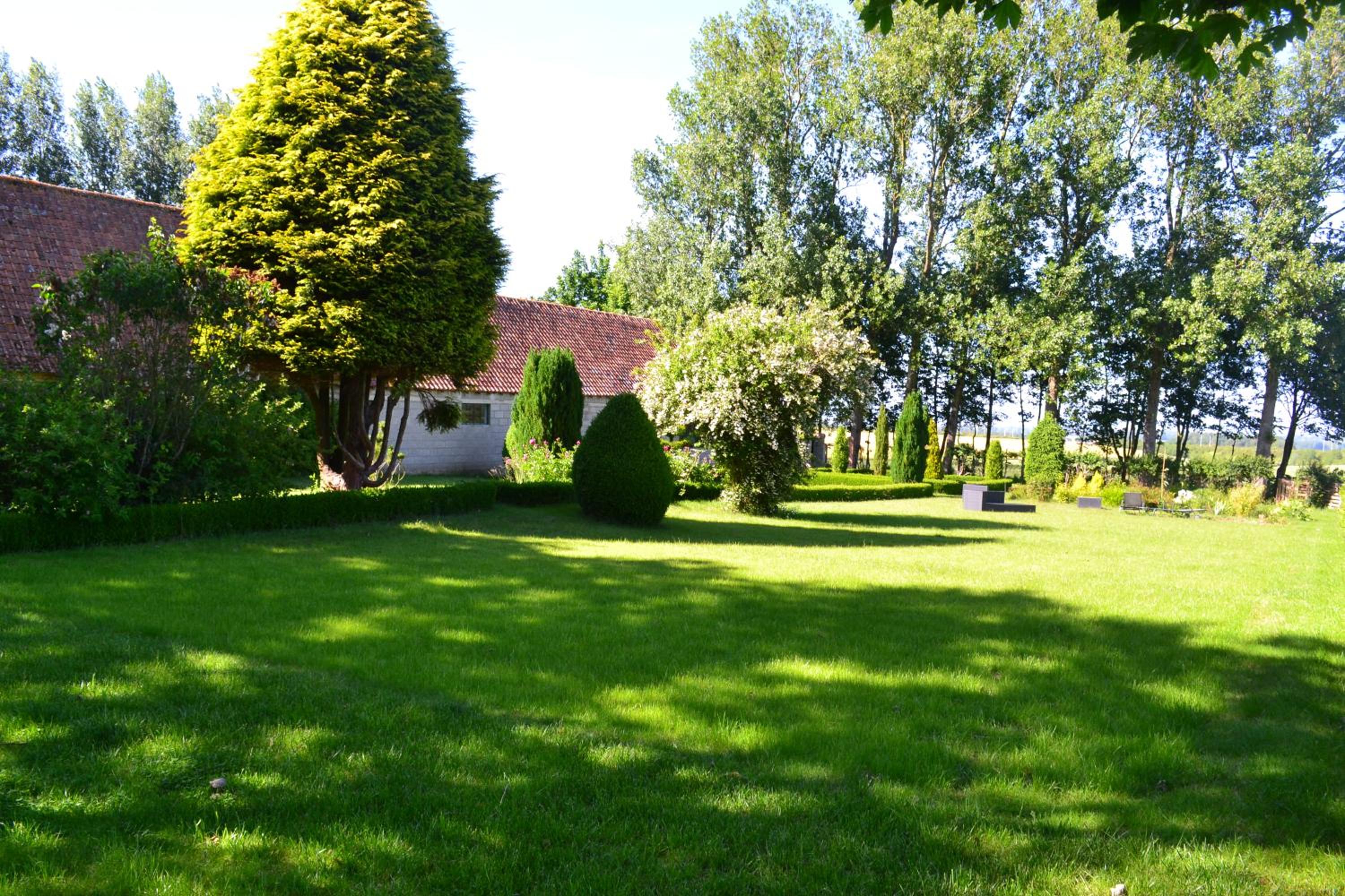 Photo 35