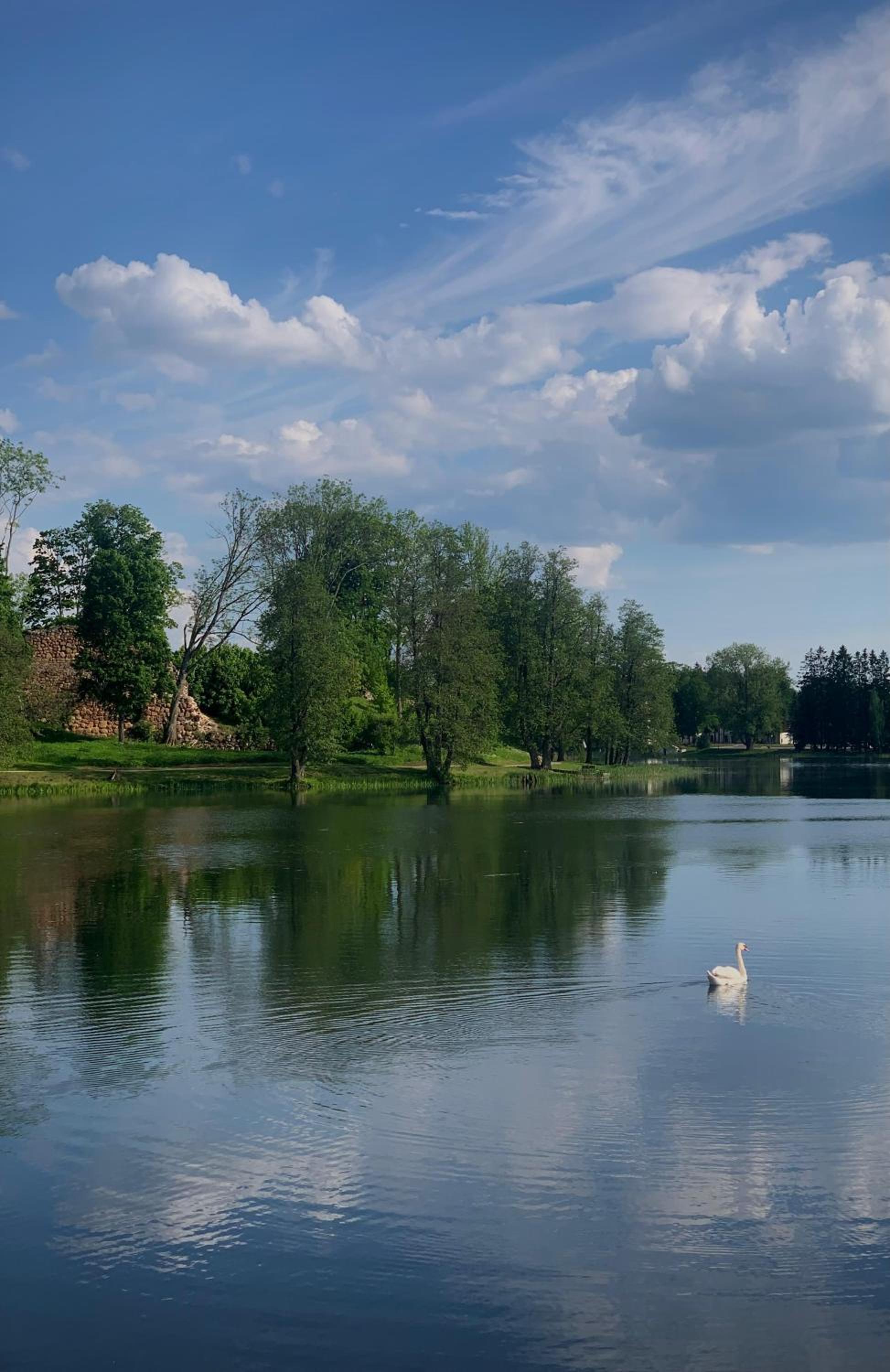 Tiny lake house view 2