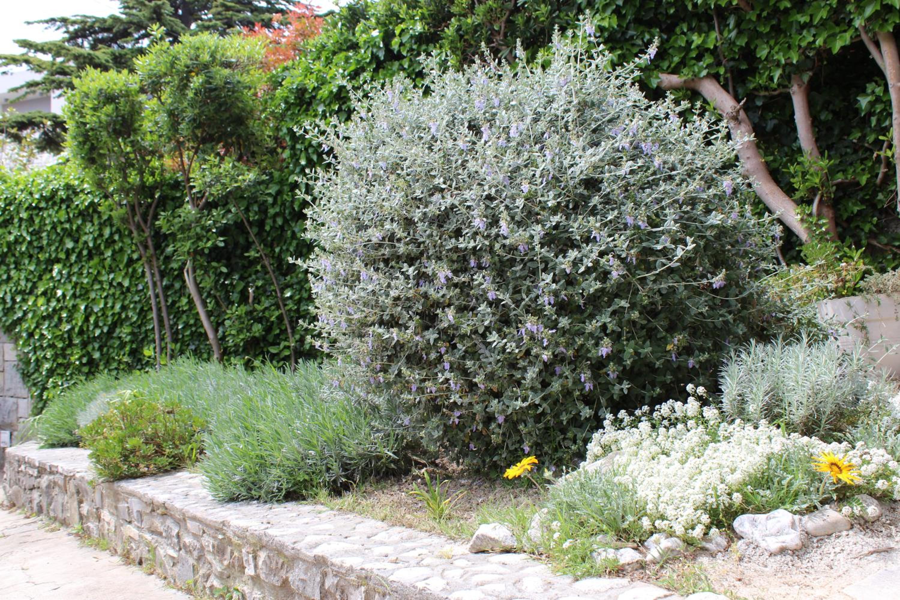 Photo 63