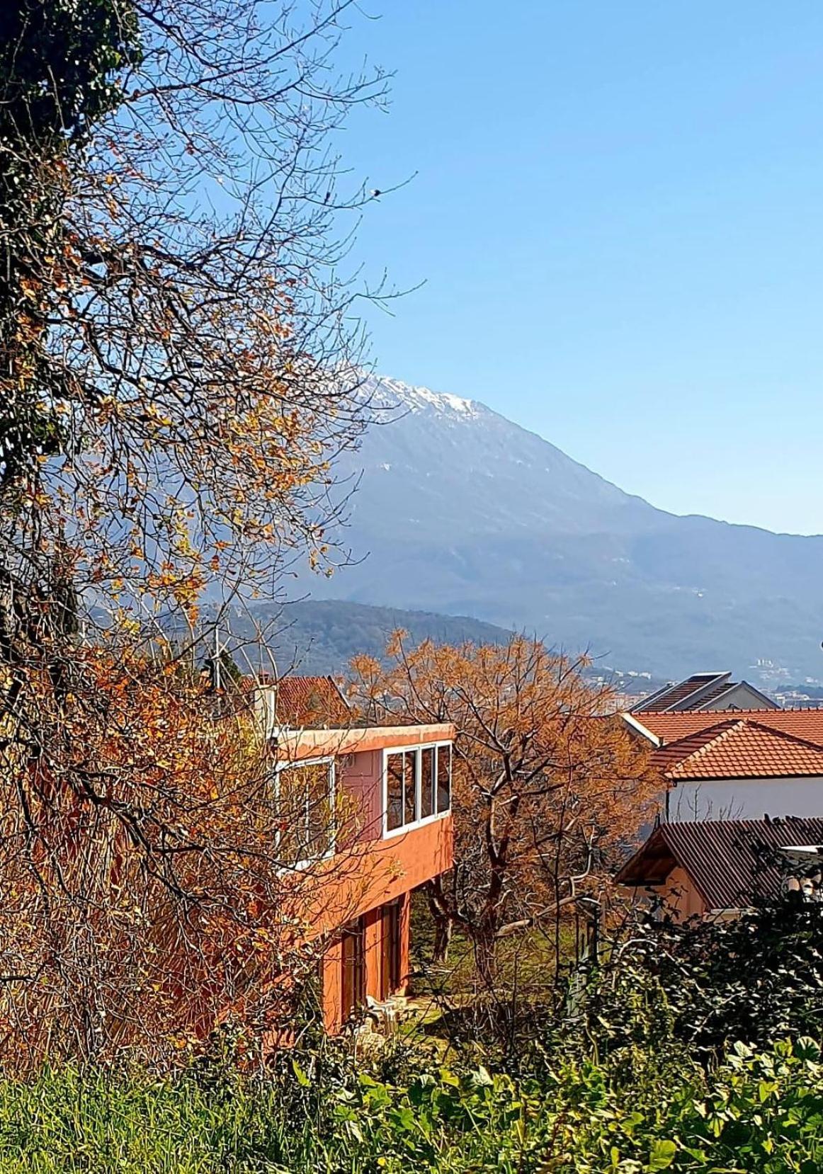 Villa Bambooka photo 1