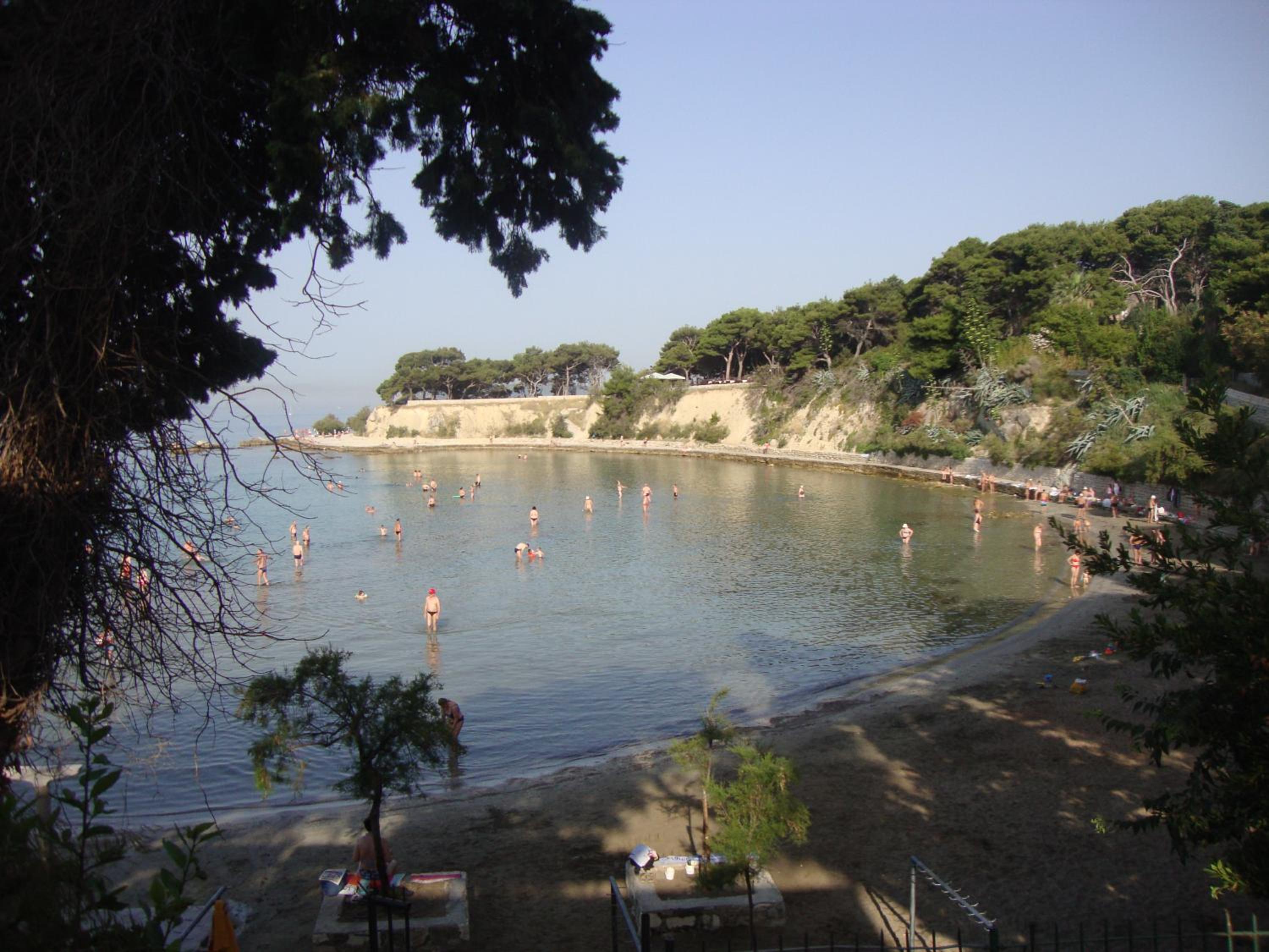 Photo 45