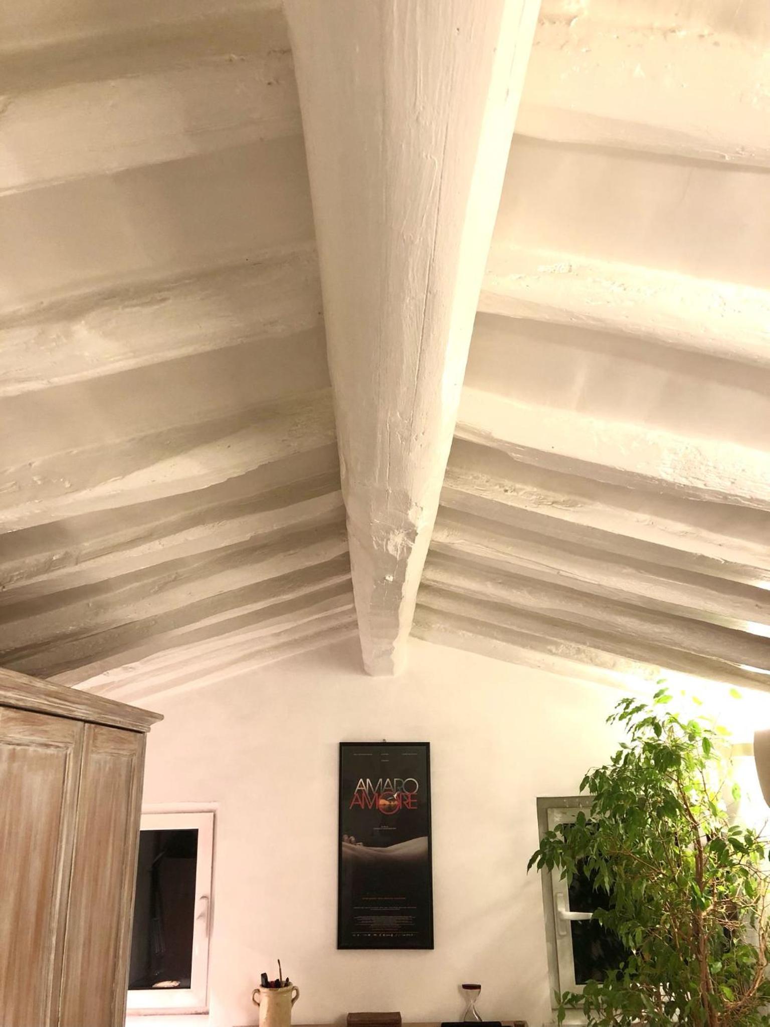 Navona Luxury Suite Apartment