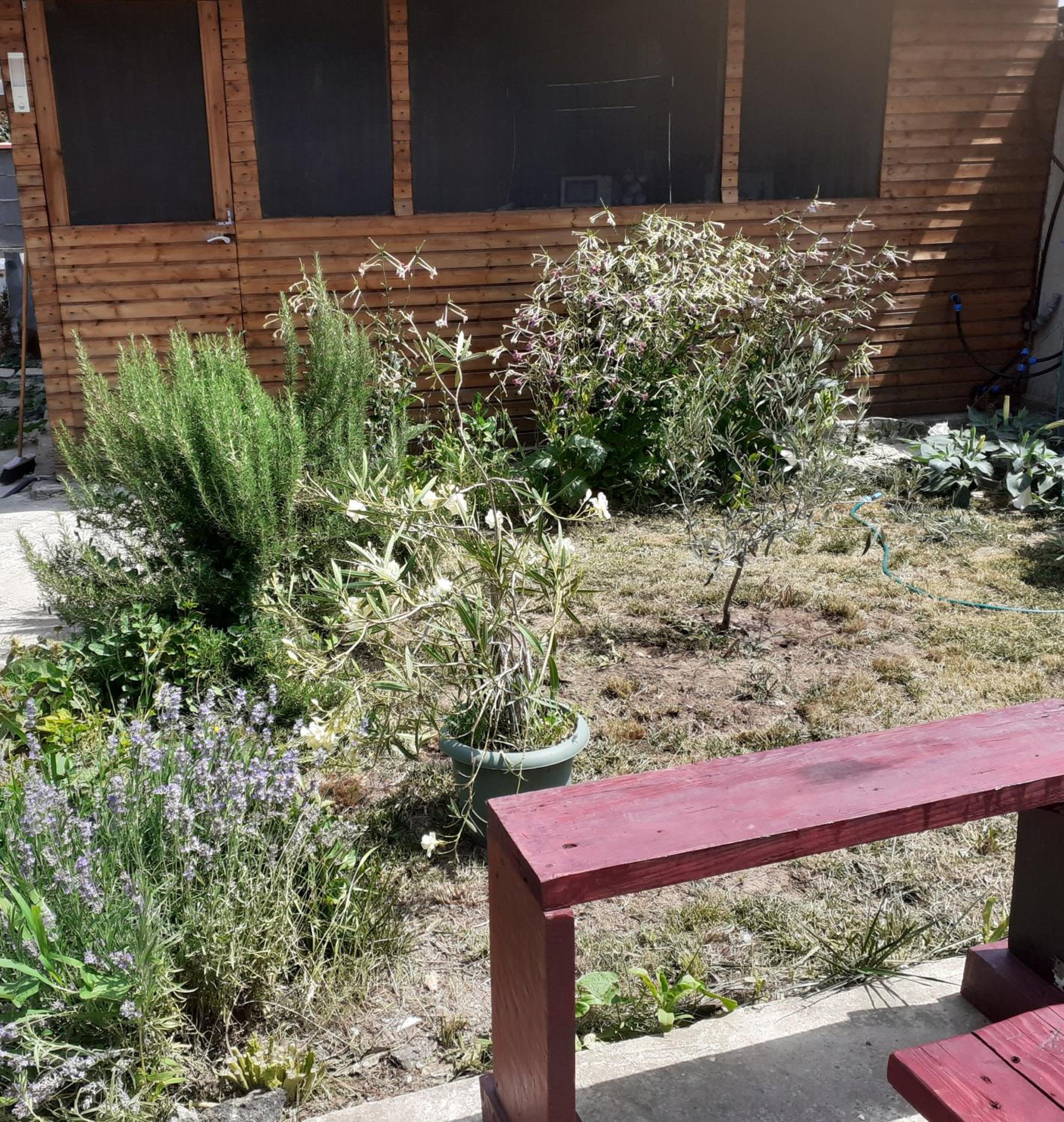 Photo 13