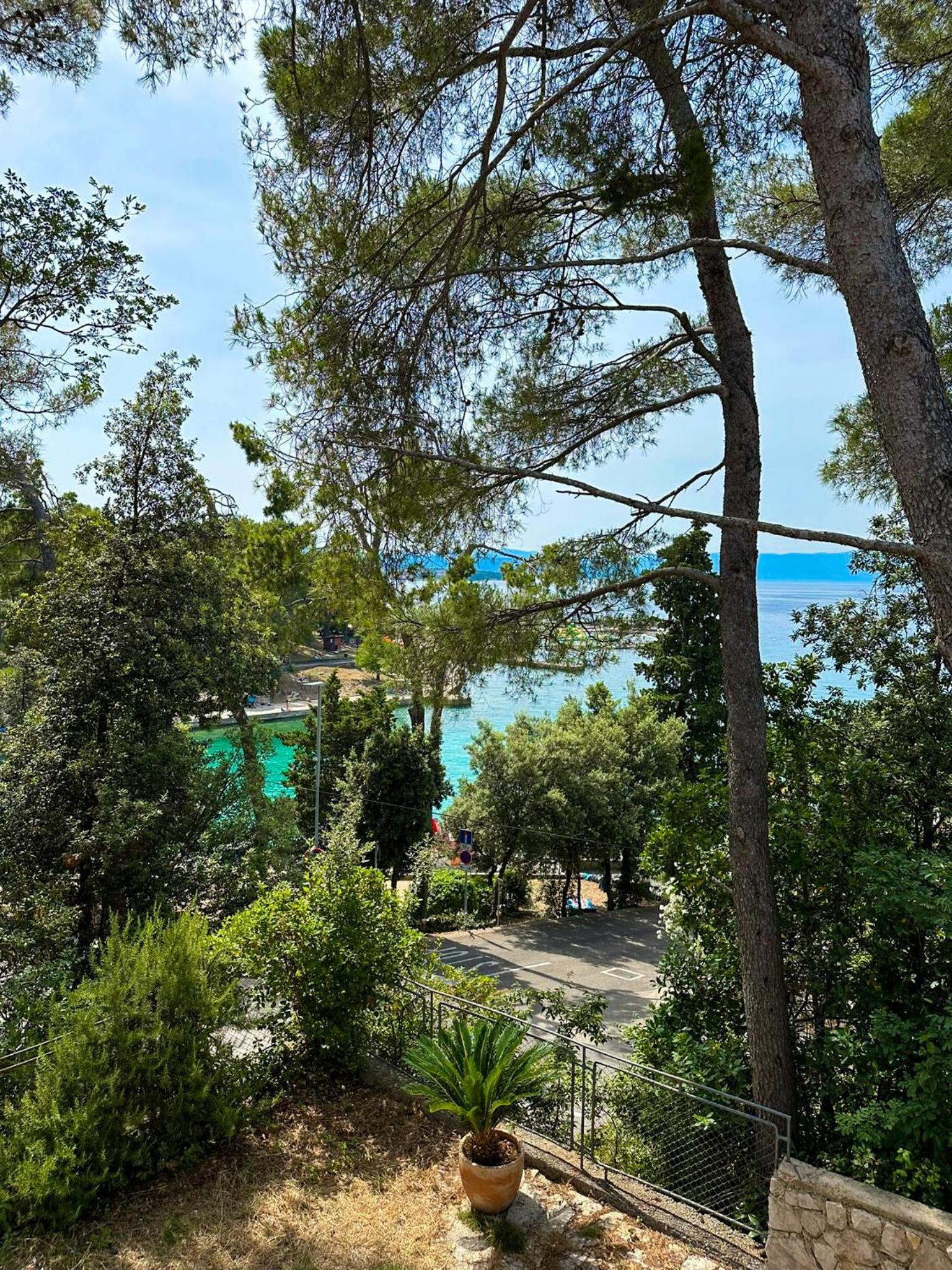 Apartment Oja