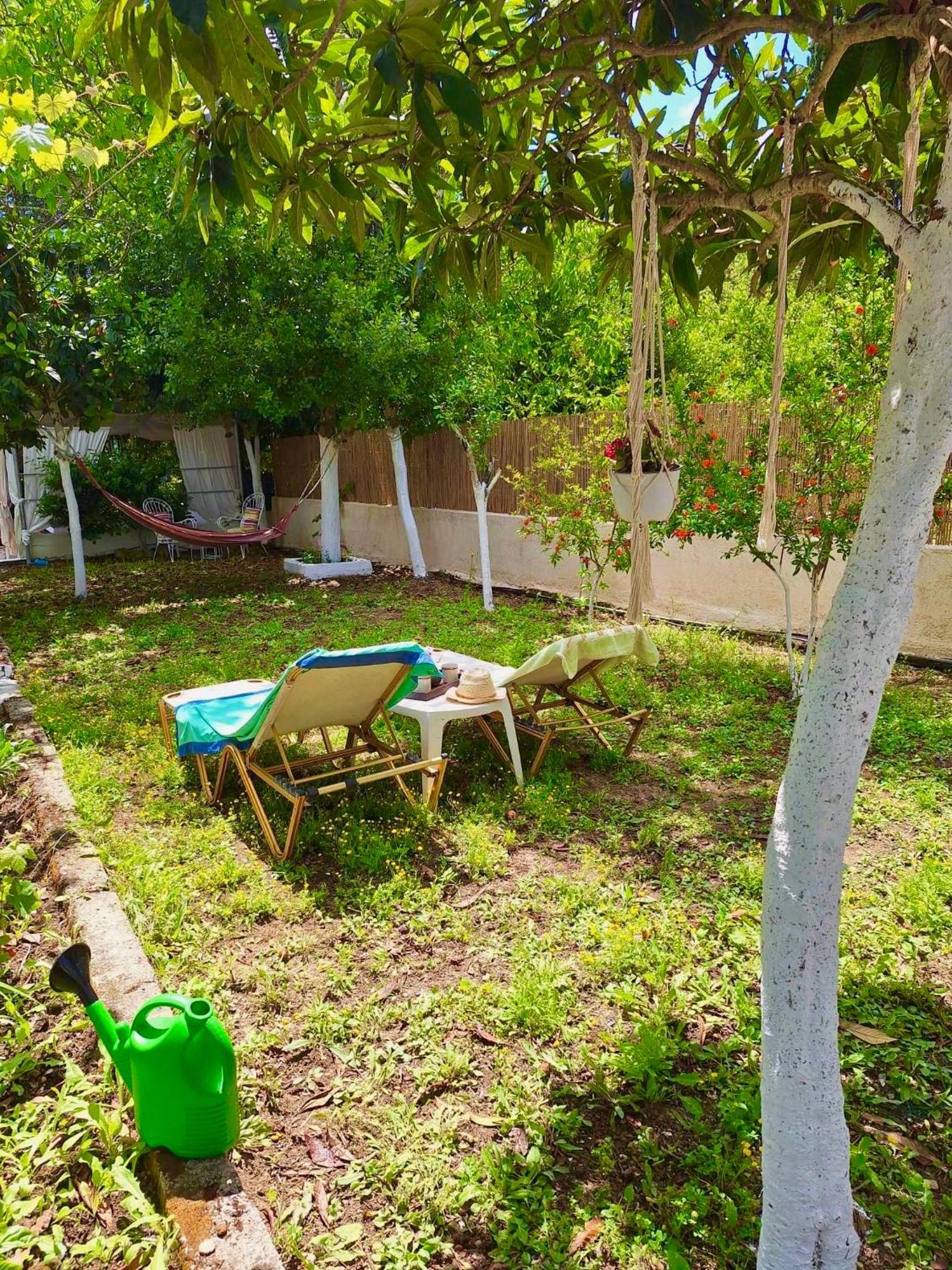 Olive Tree Cottage view 3