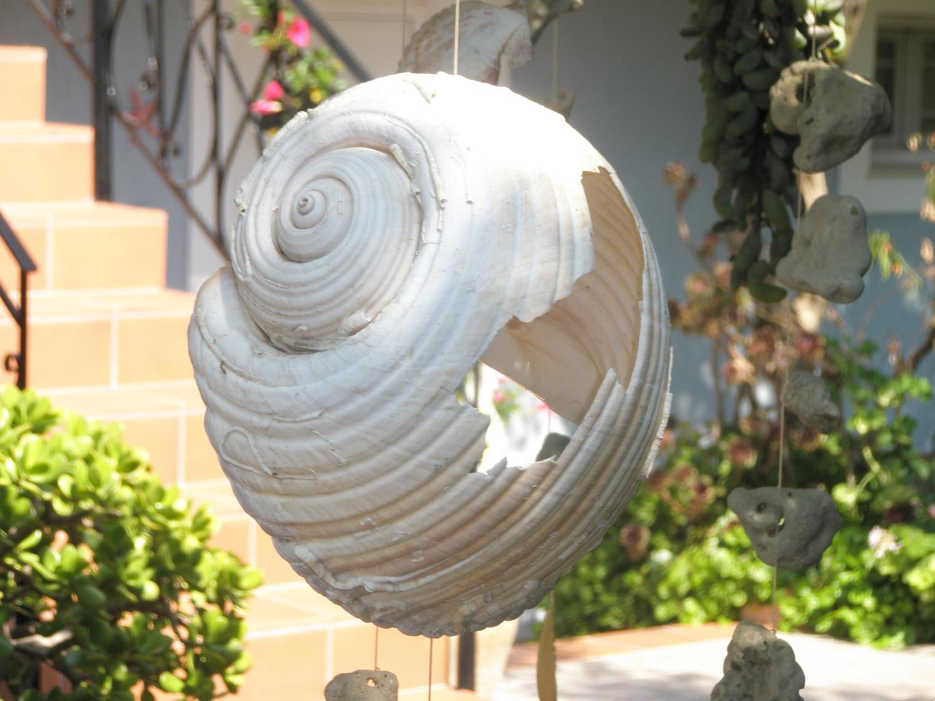 Aeolos Studios Kefalonia