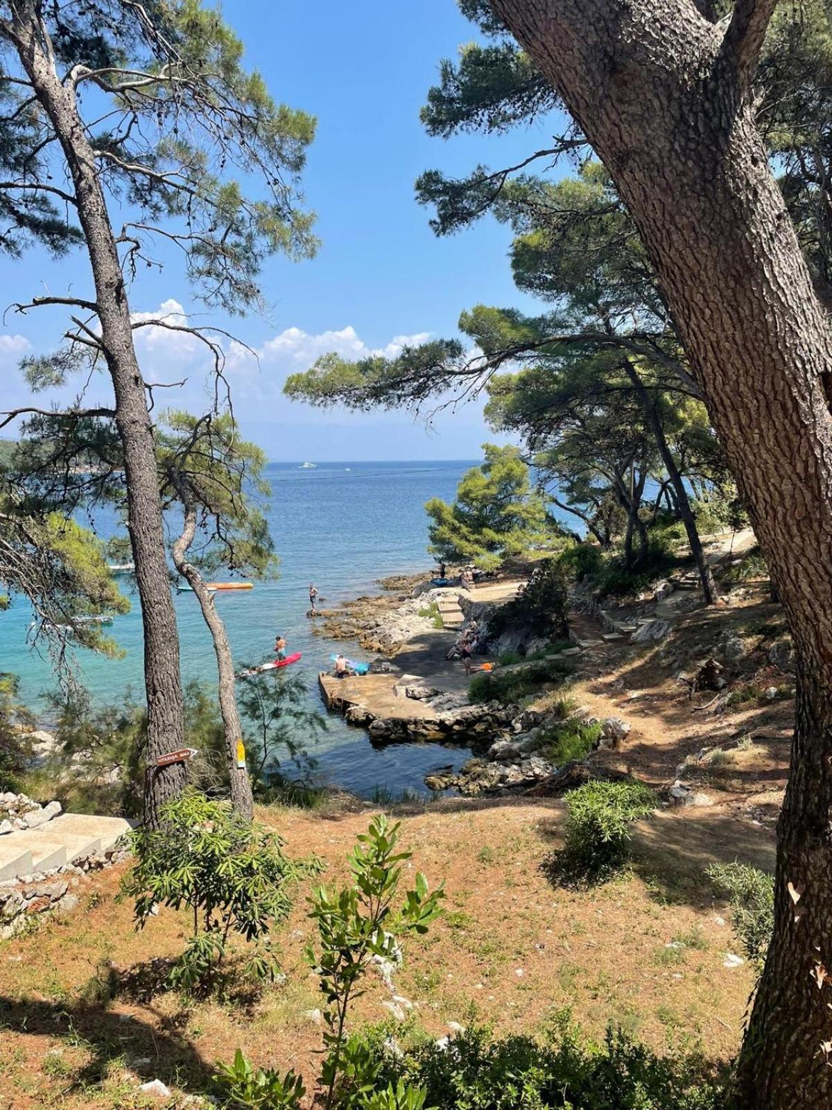 Stone Villa Hvar Ana and Nikola Beachfront