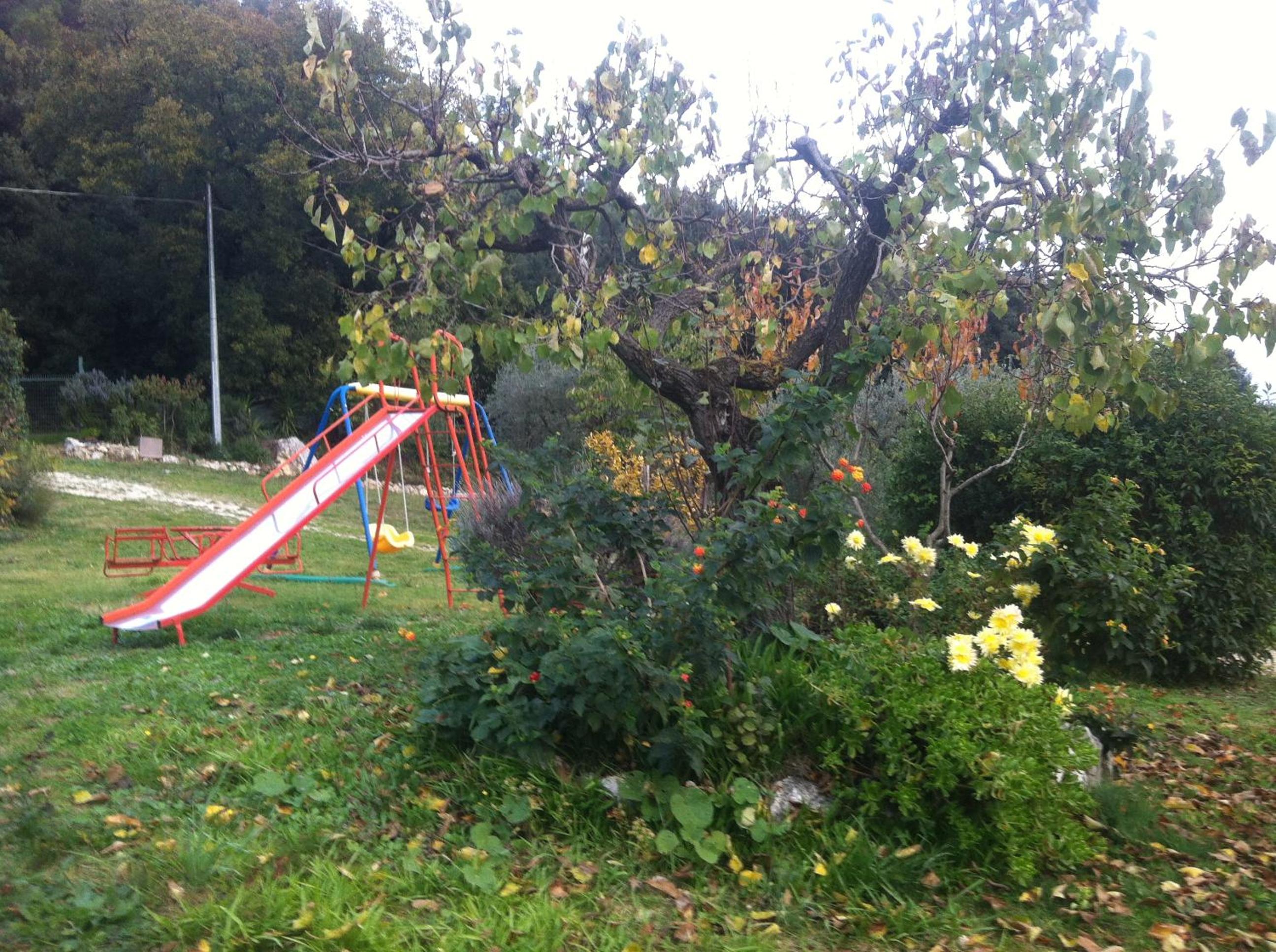 Photo 11