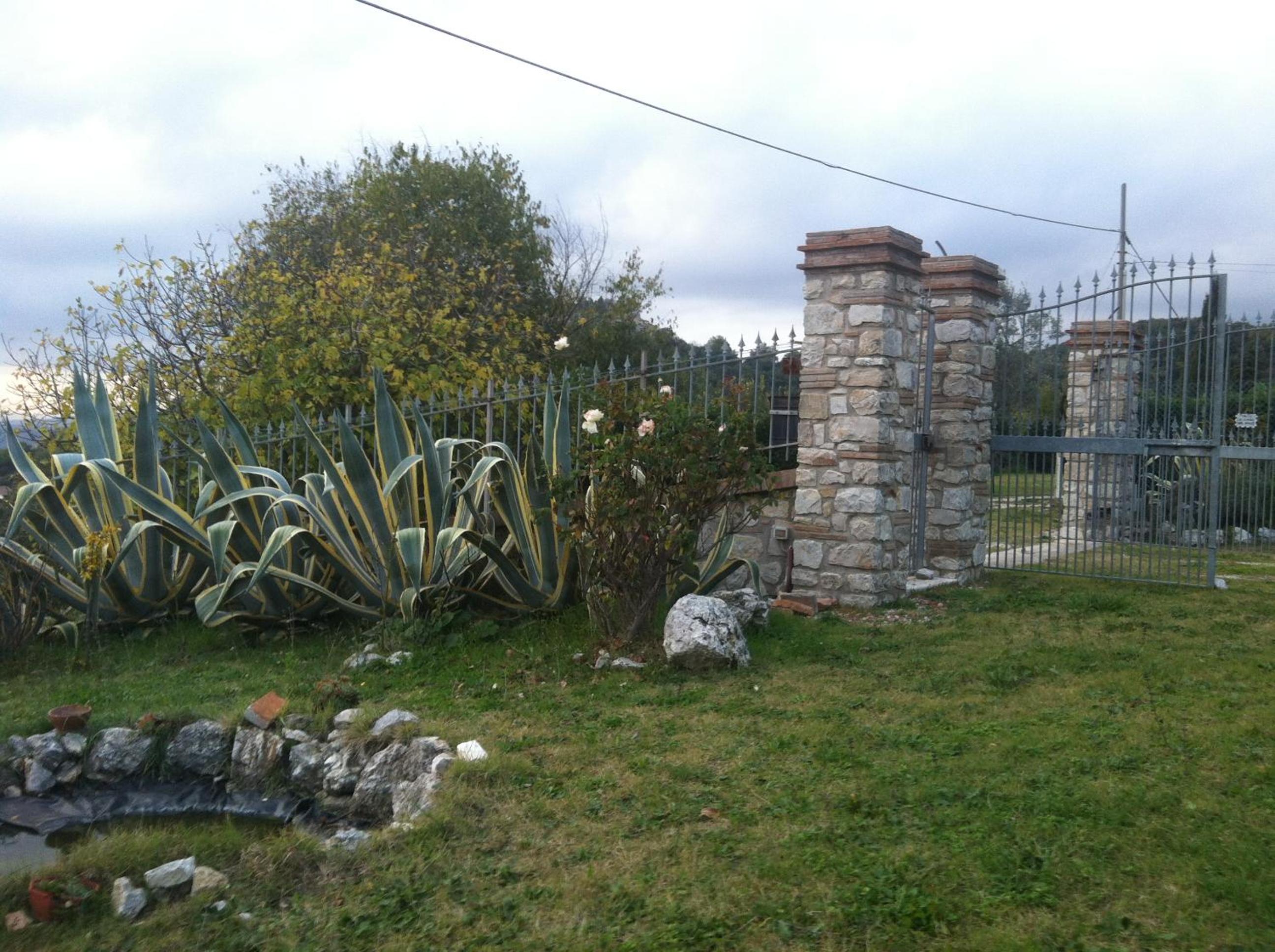 Photo 12
