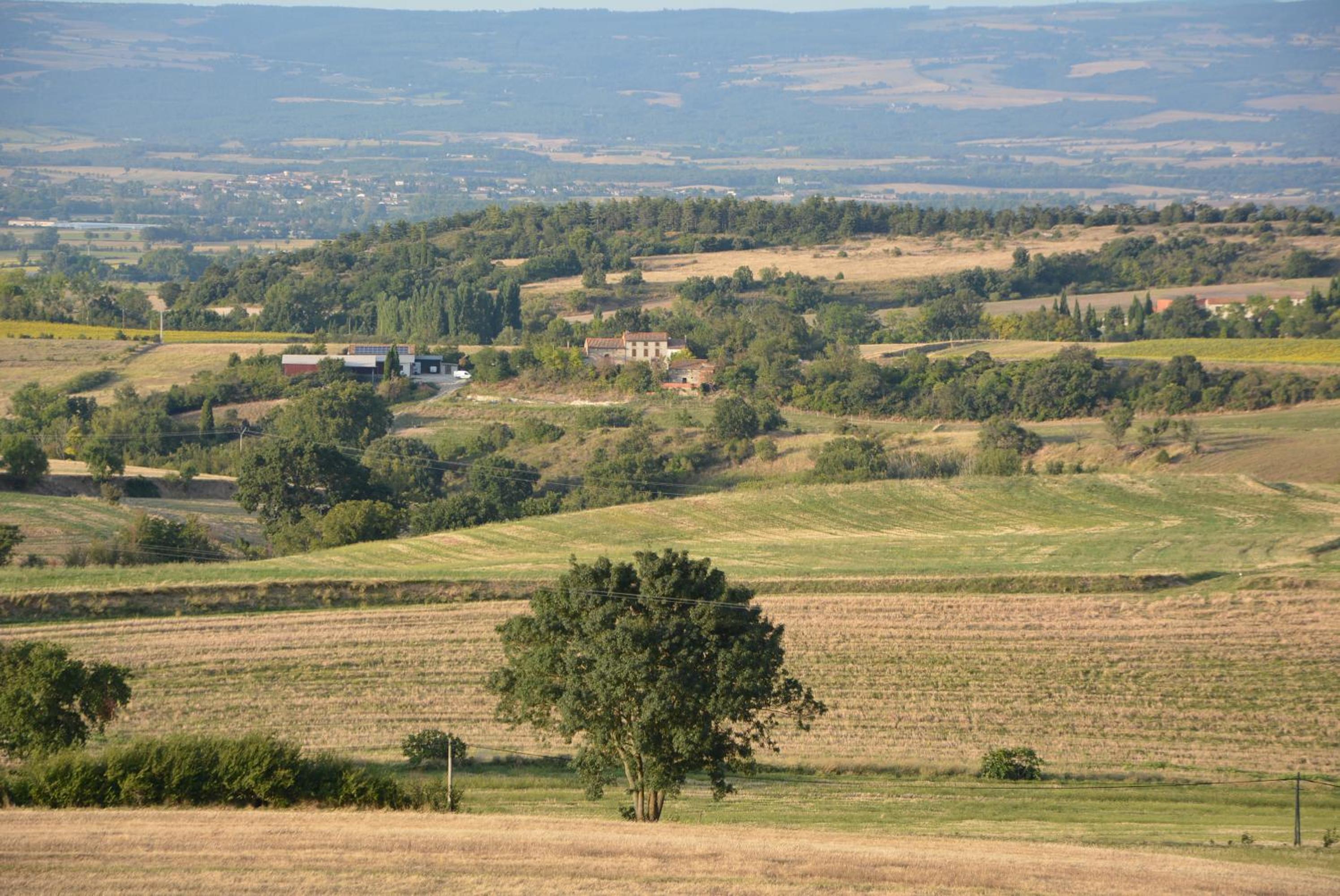 Domaine de Courbieres